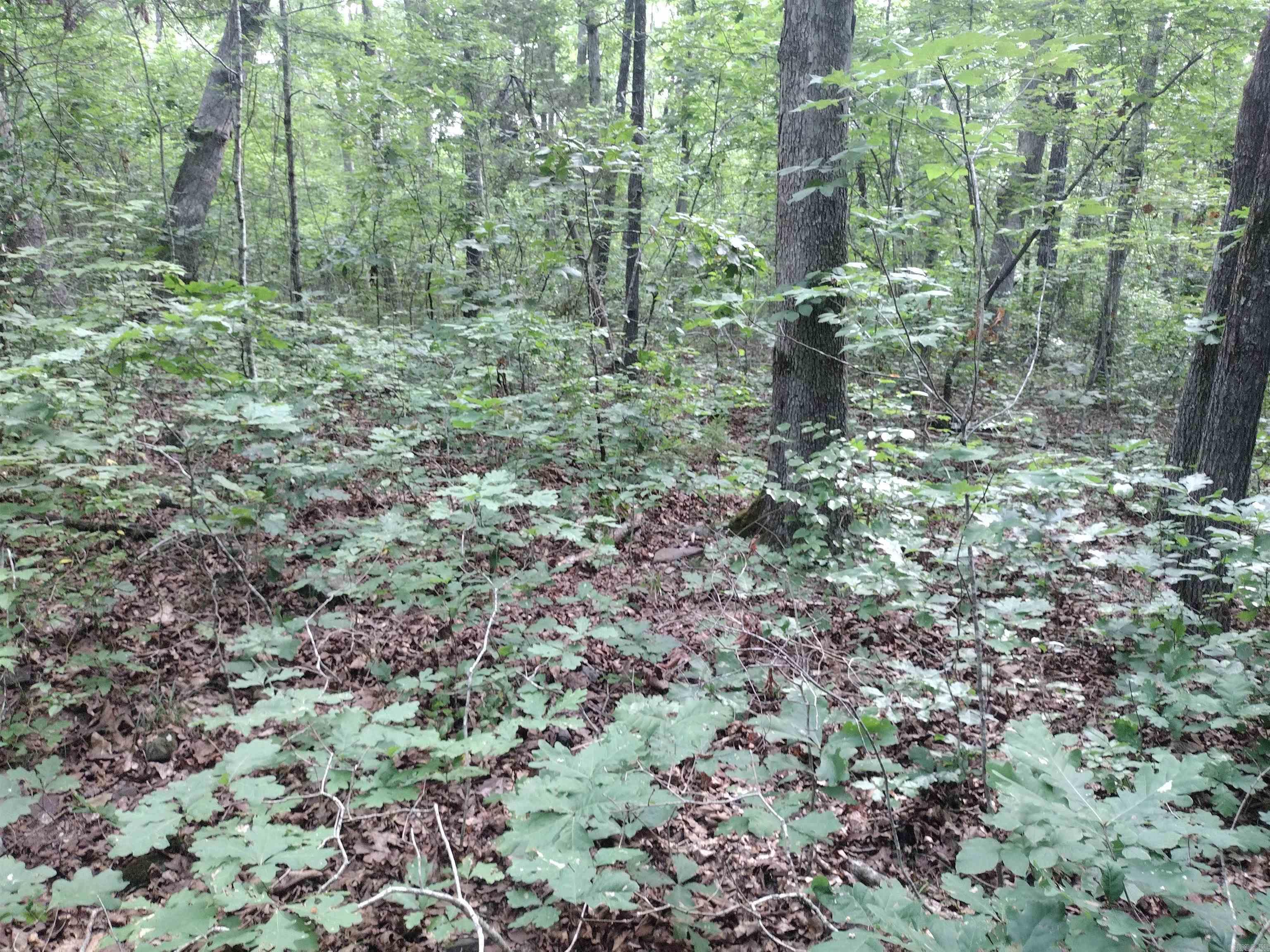 0 Iron Mountain Rd Property Photo 11