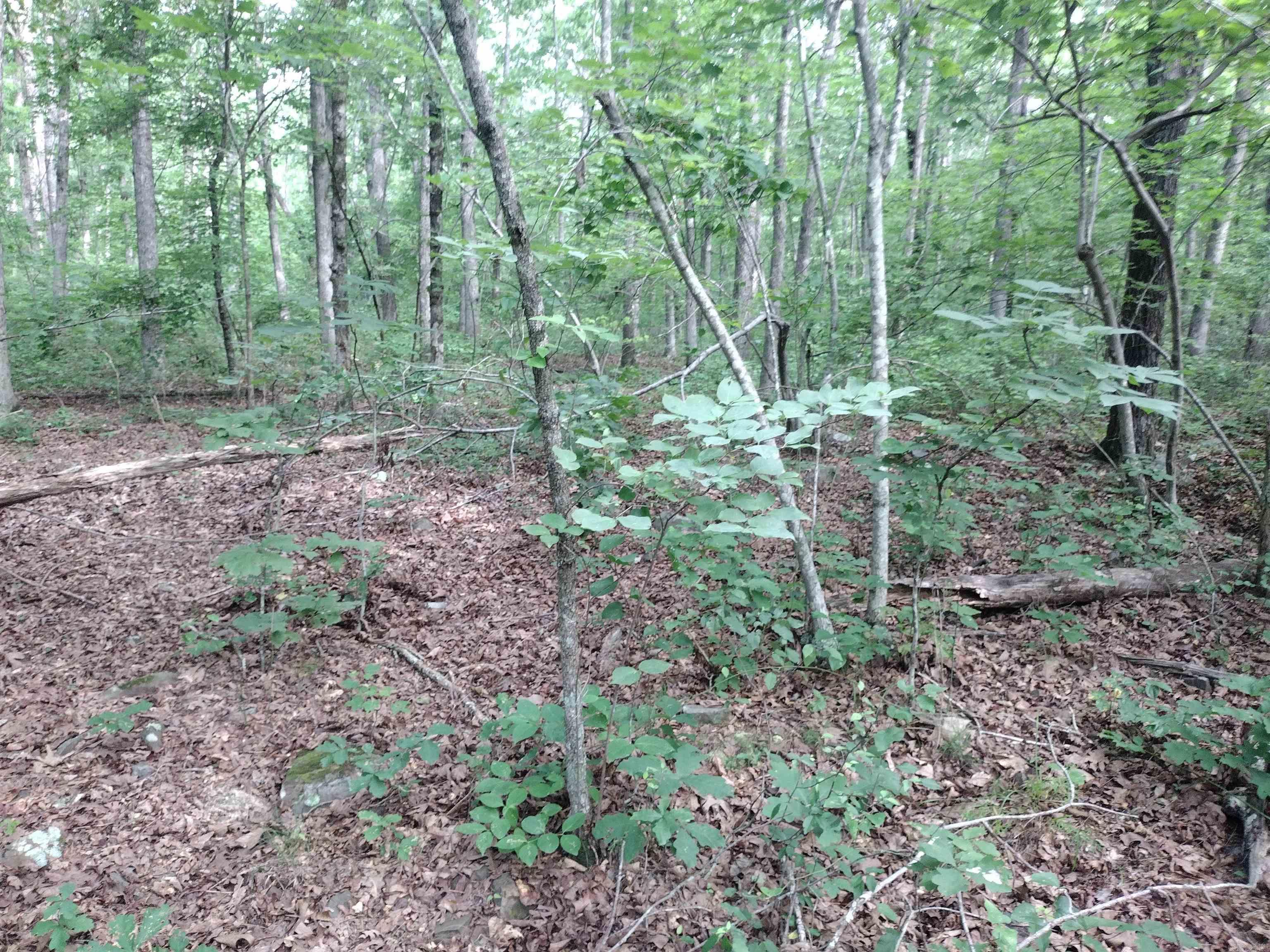 0 Iron Mountain Rd Property Photo 12