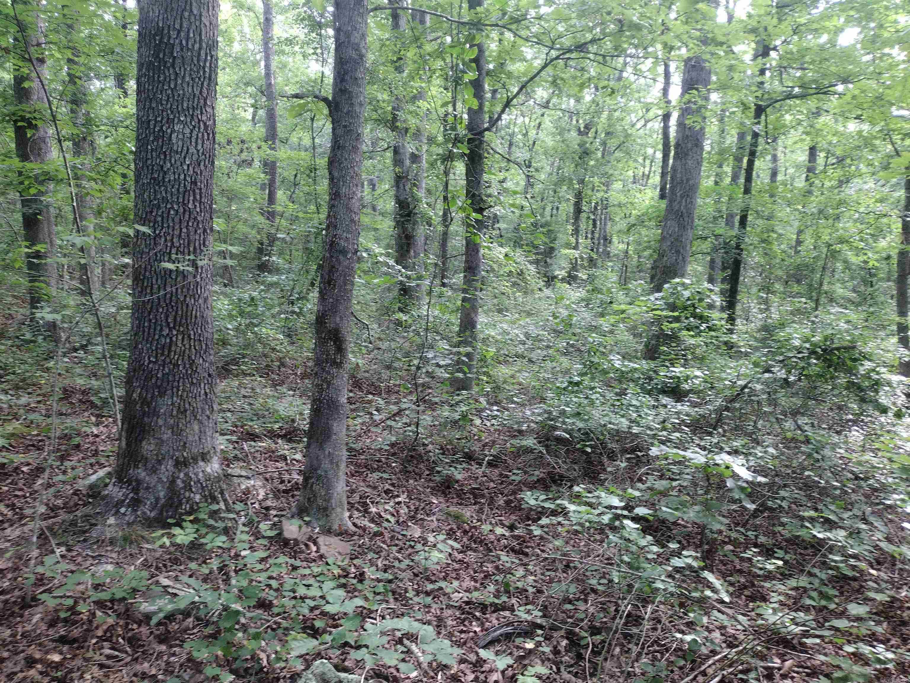 0 Iron Mountain Rd Property Photo 13
