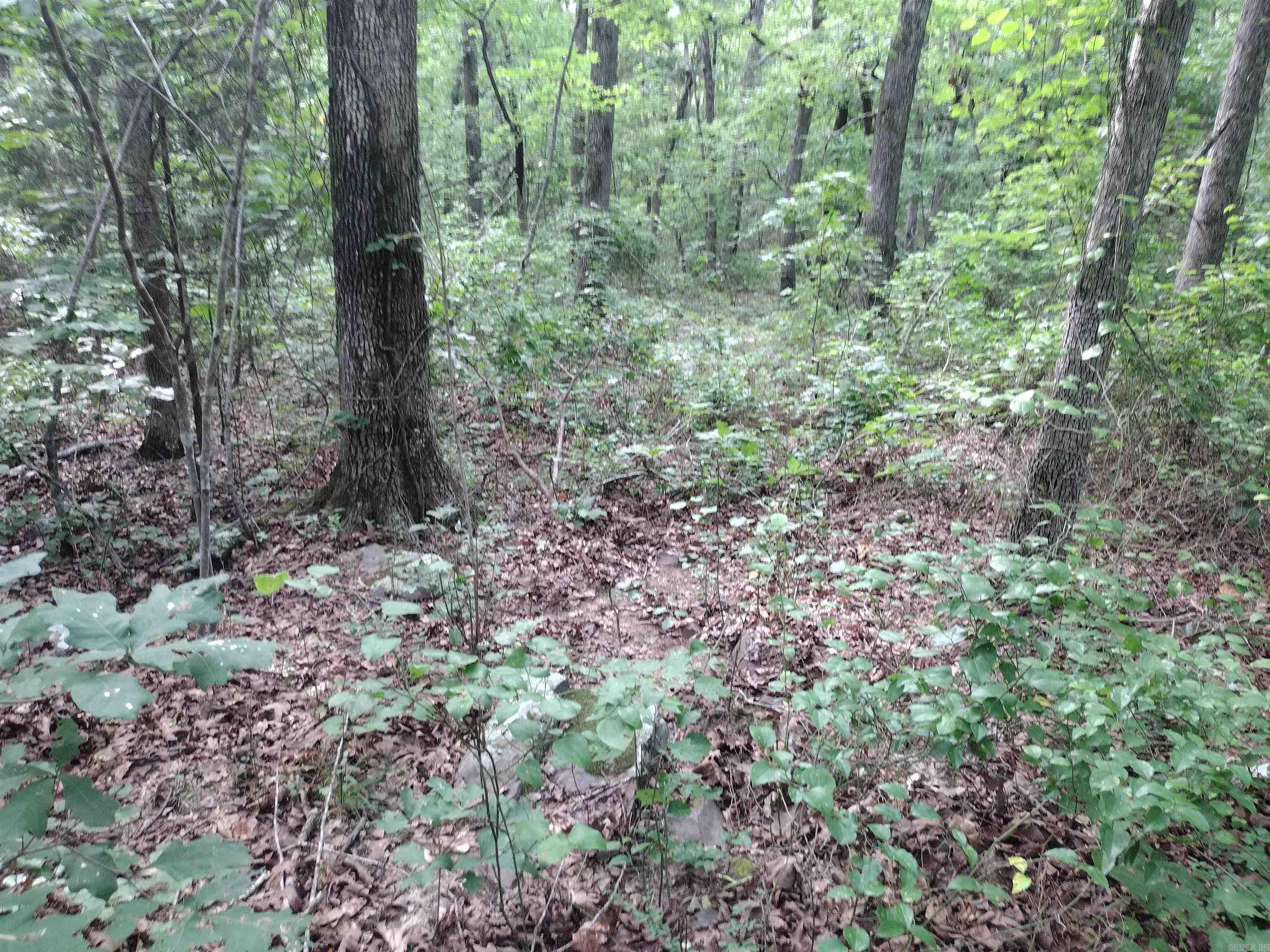 0 Iron Mountain Rd Property Photo 14