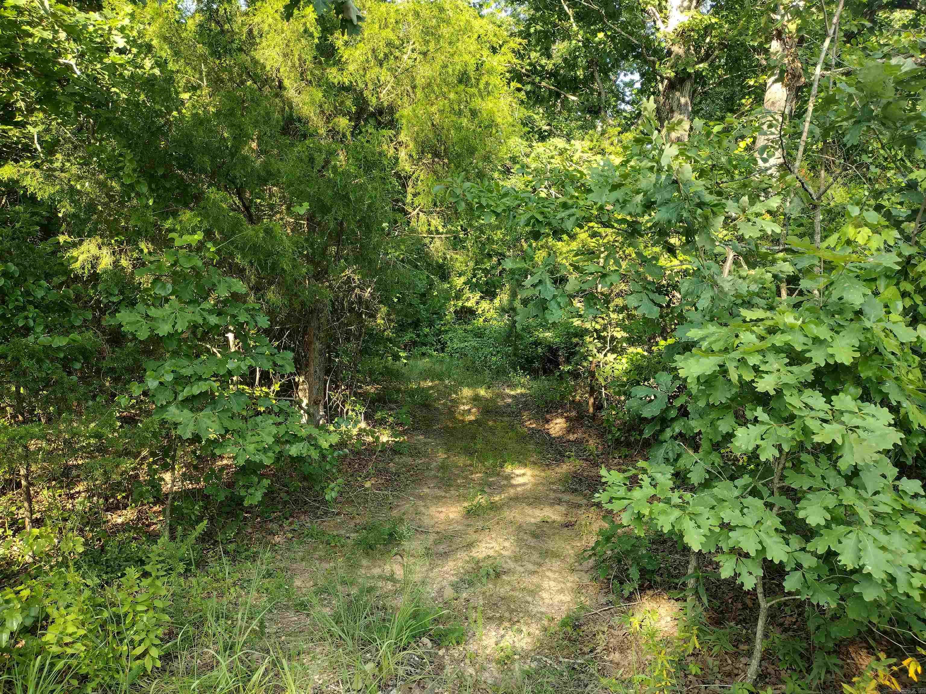 0 Iron Mountain Rd Property Photo 19