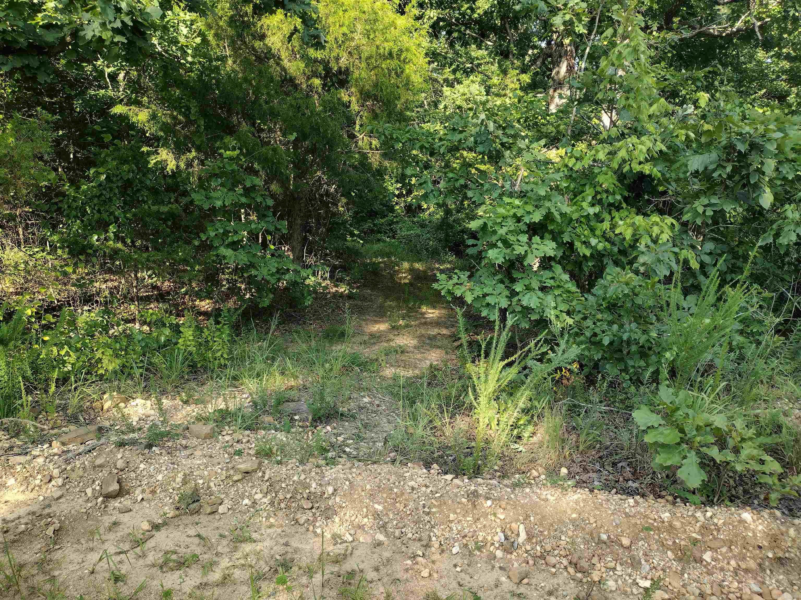0 Iron Mountain Rd Property Photo 20