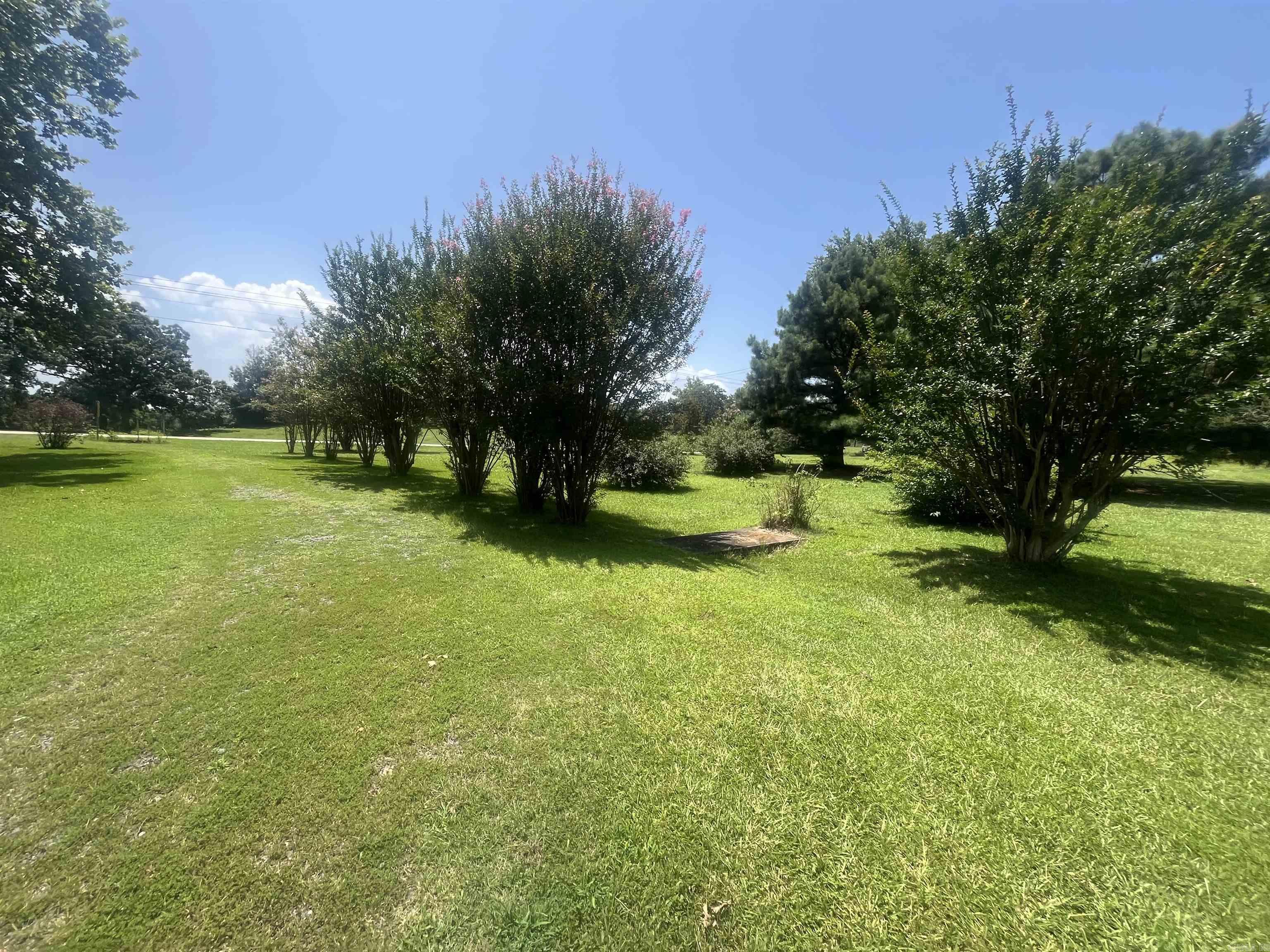 365 Hwy 278 E Property Photo 20