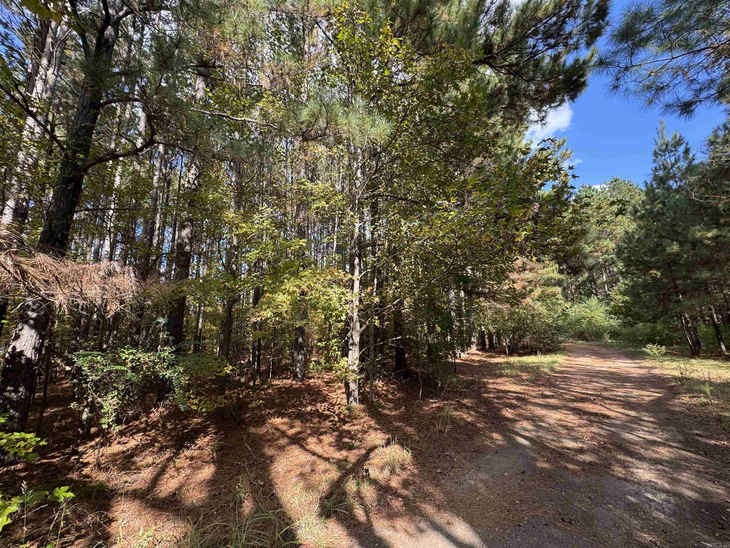 1355 California Ave Property Photo 15