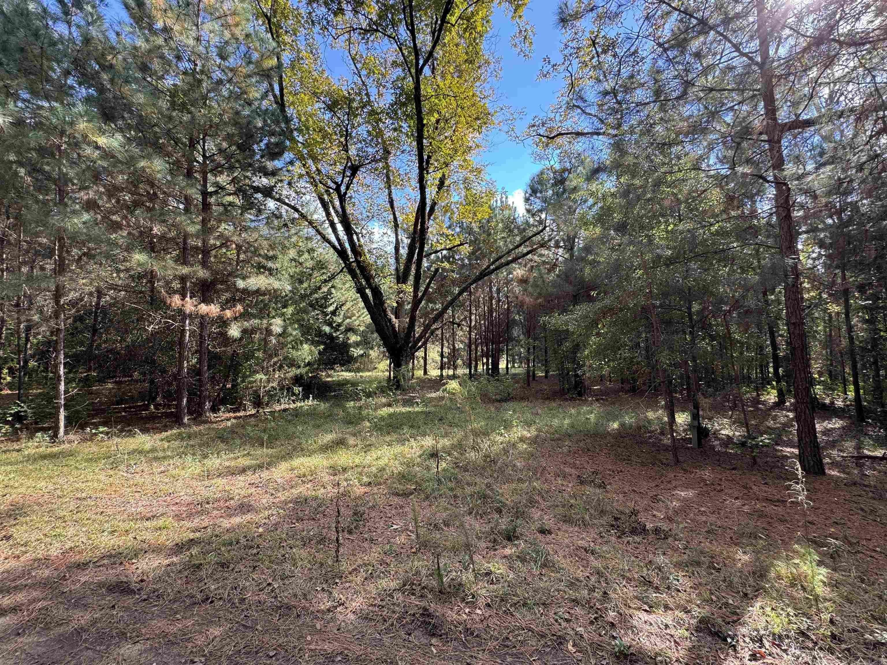 1355 California Ave Property Photo 16