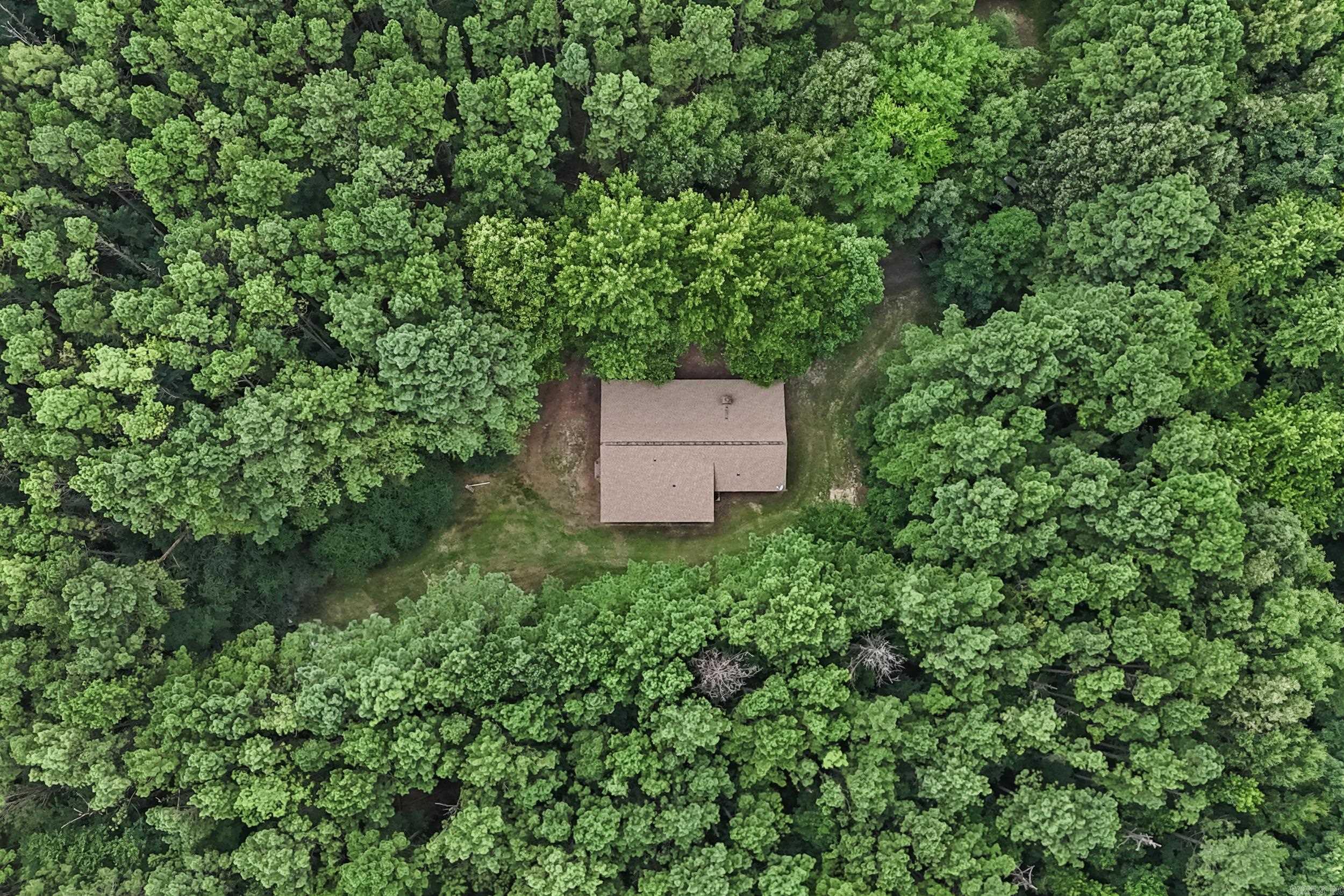596 Highway 367 Property Photo 5