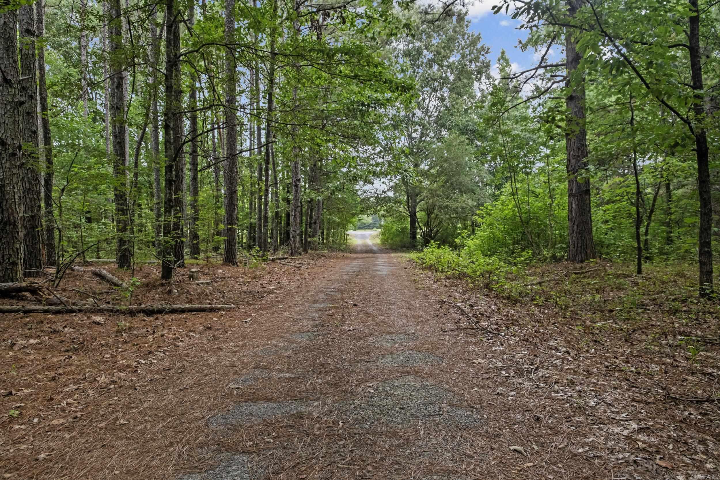 596 Highway 367 Property Photo 6