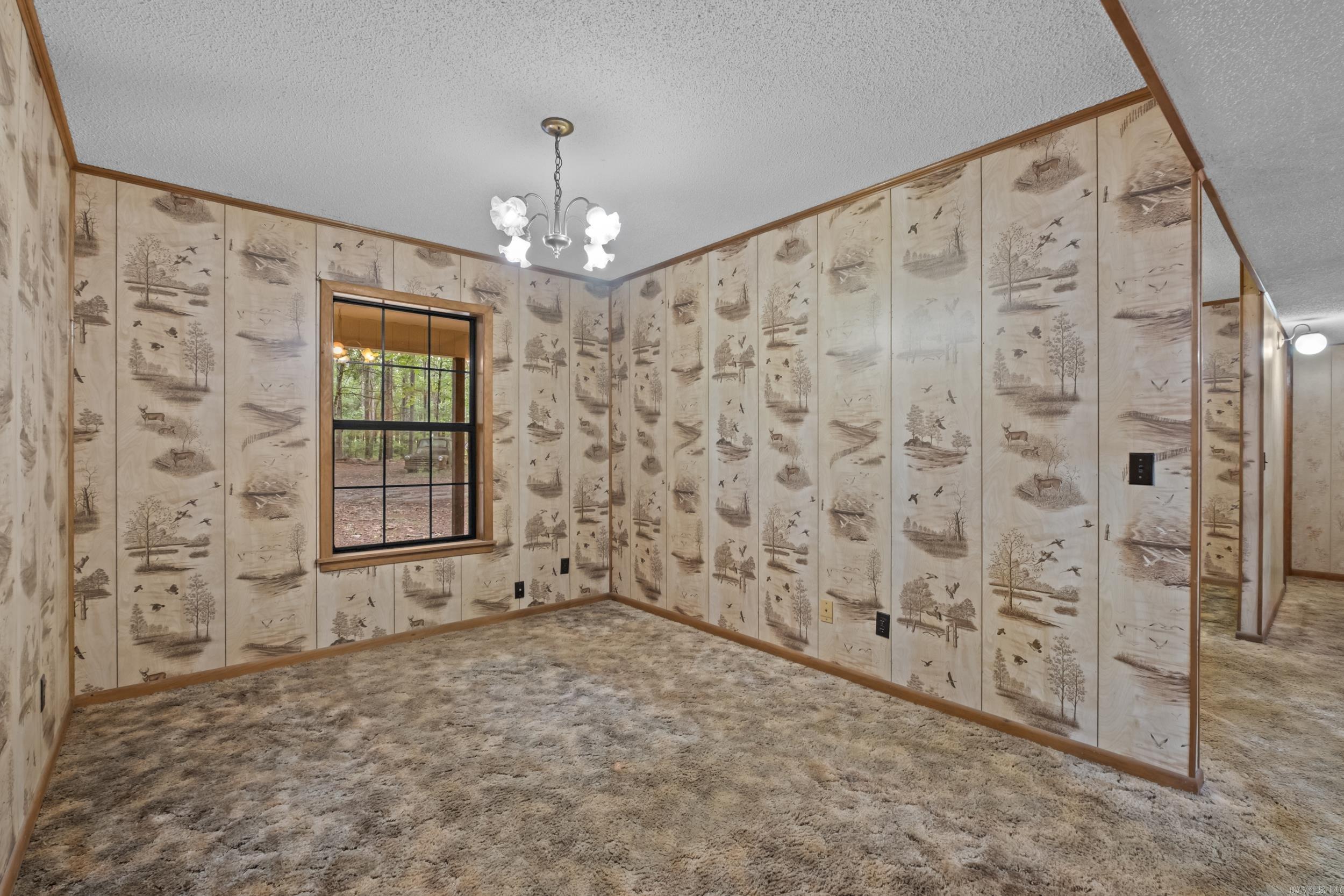 596 Highway 367 Property Photo 11