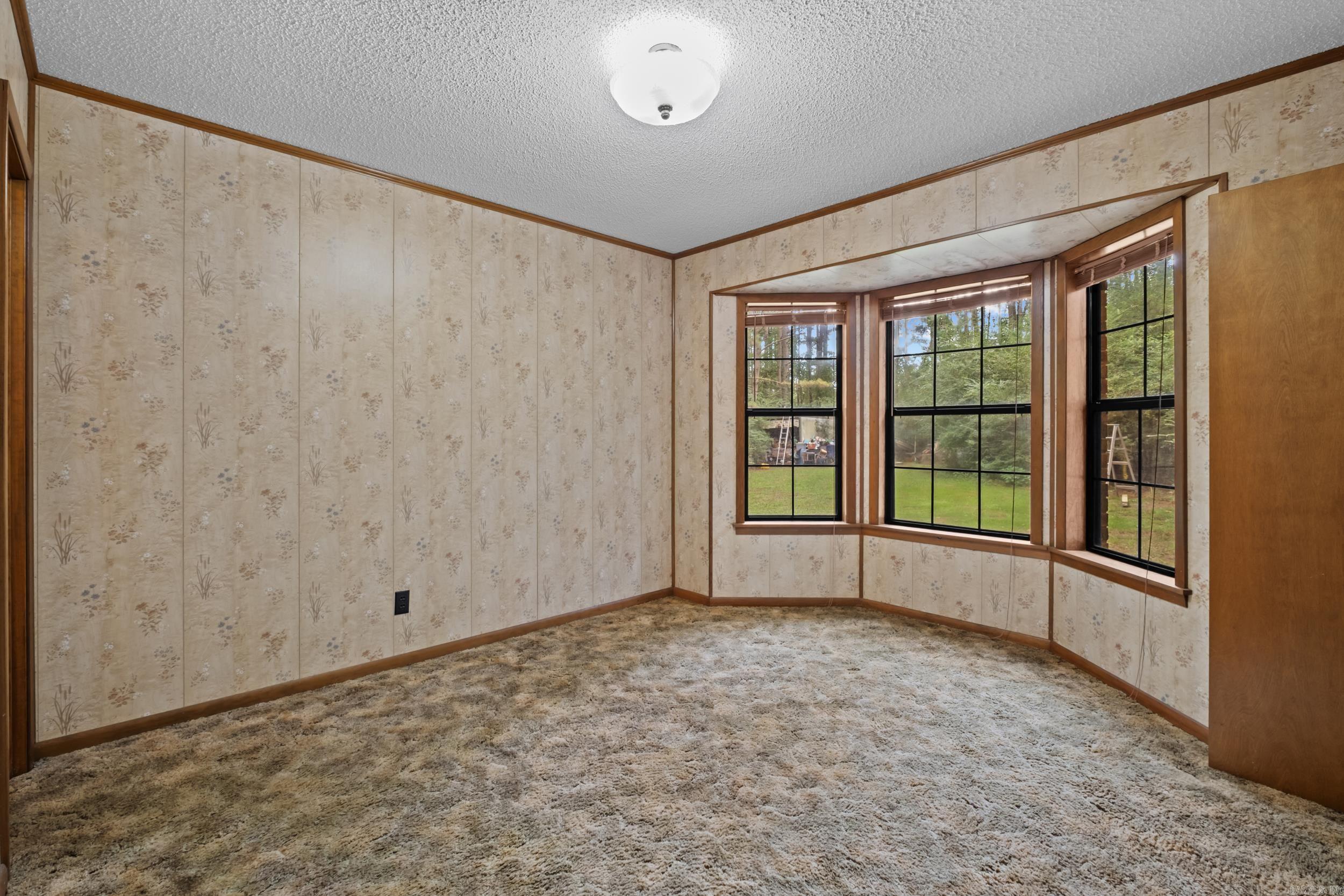 596 Highway 367 Property Photo 21
