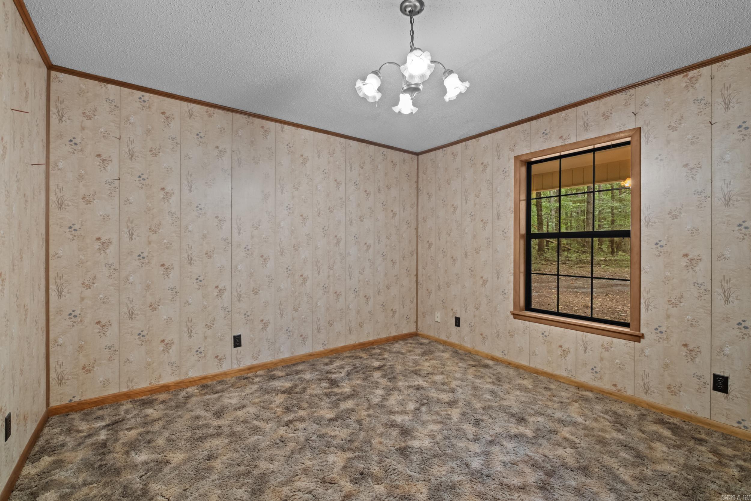 596 Highway 367 Property Photo 25