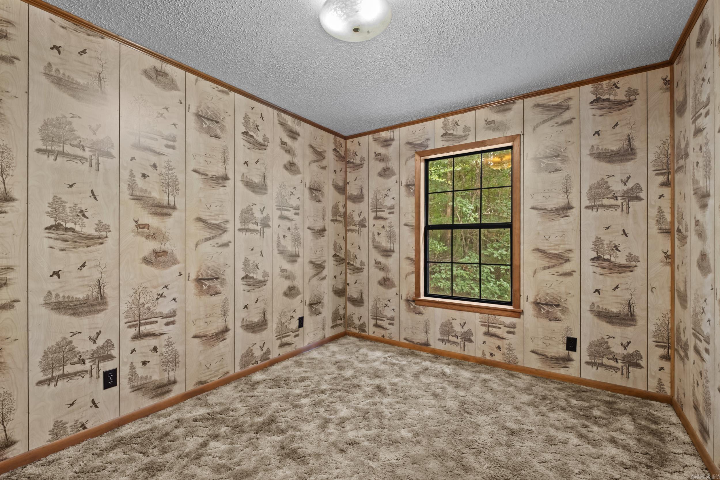596 Highway 367 Property Photo 34