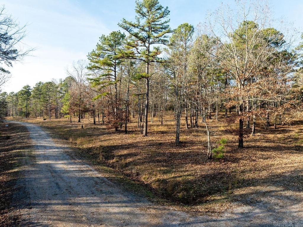 Lot 51 Redtail Lane Property Photo 1