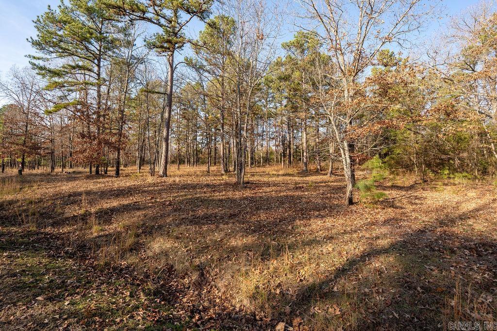 Lot 51 Redtail Lane Property Photo 3