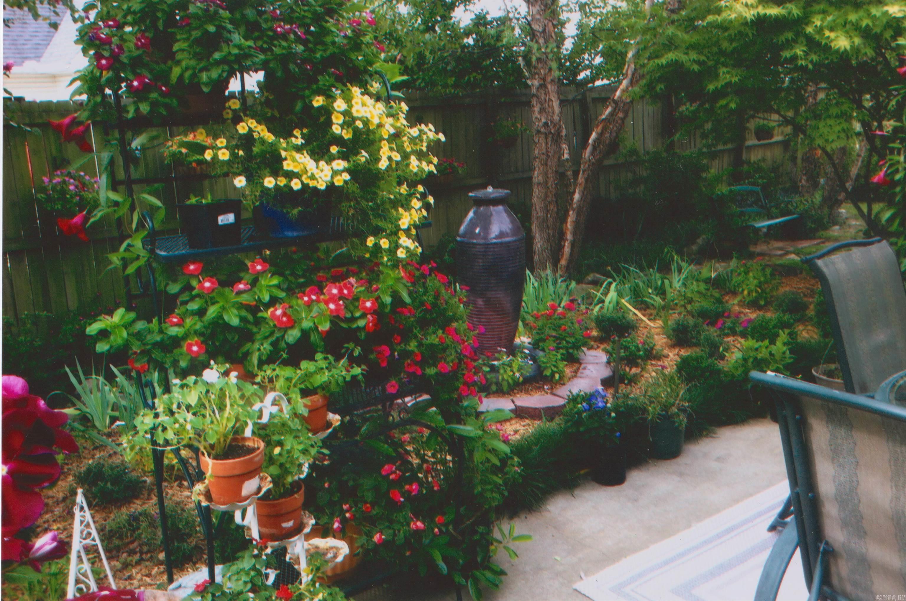 1207 Kynlee Cove Property Photo 24