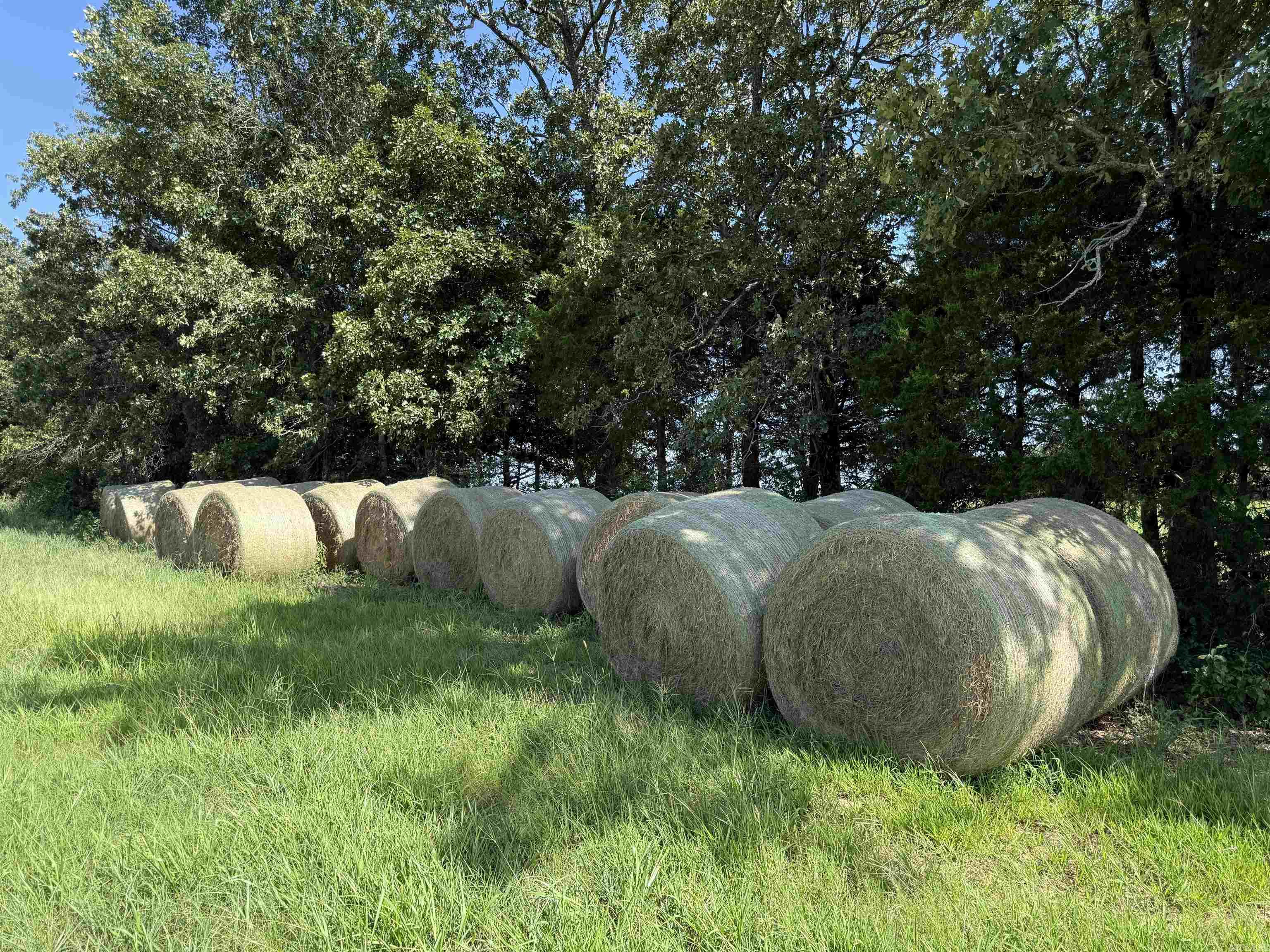 000 Midge Langley / Hwy. 36 Property Photo 3