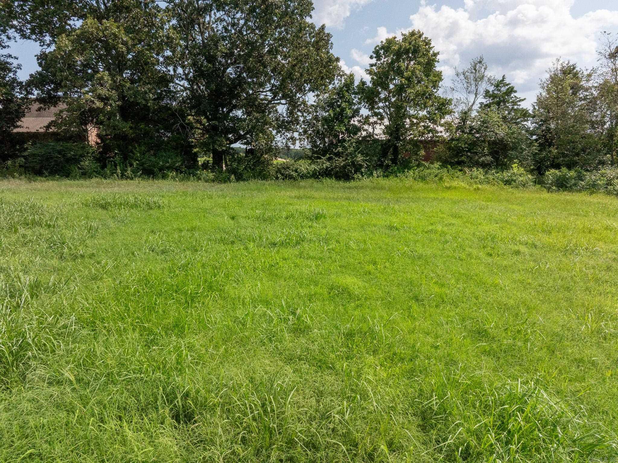 000 Midge Langley / Hwy. 36 Property Photo 13