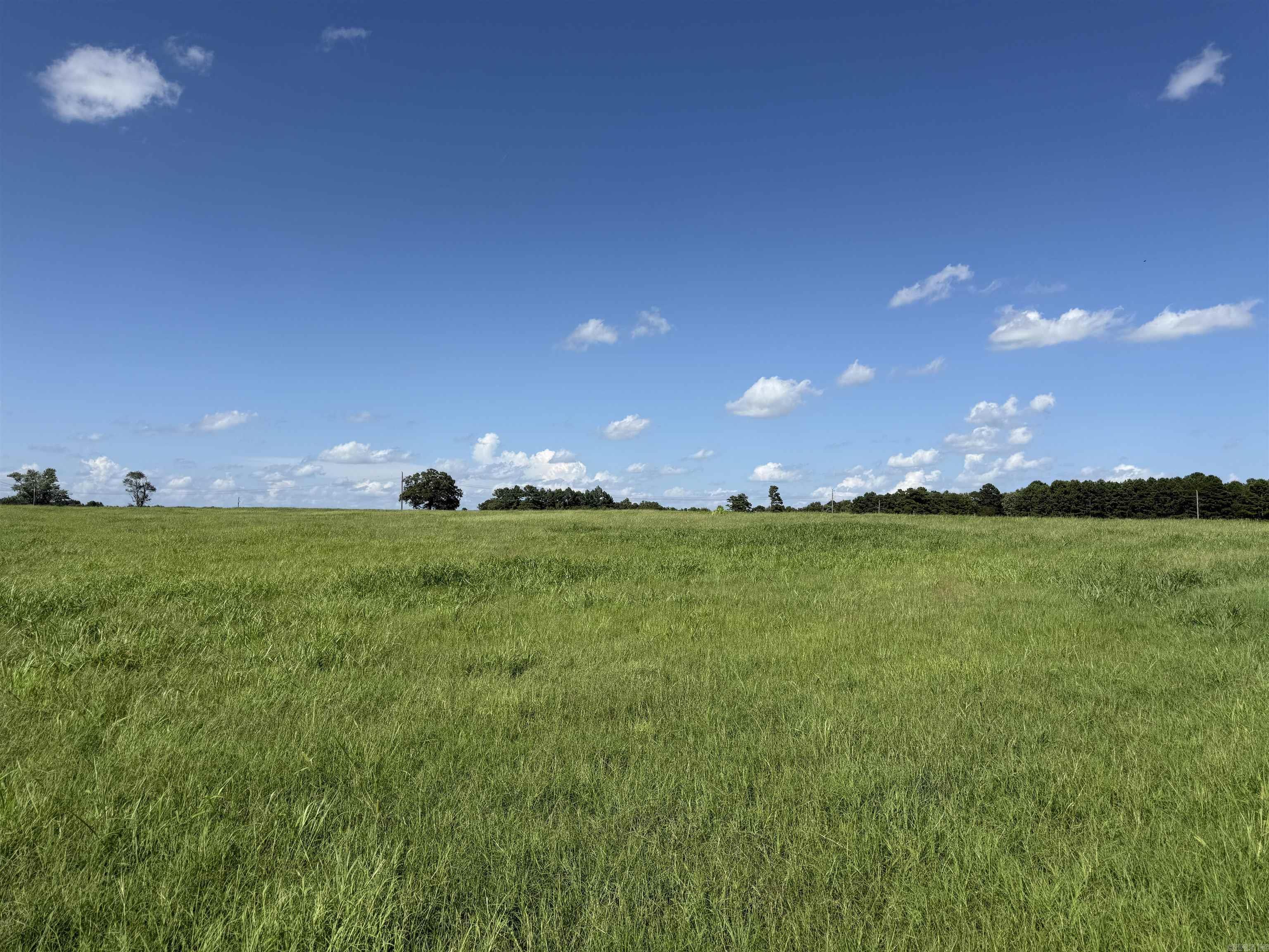 000 Midge Langley / Hwy. 36 Property Photo 33