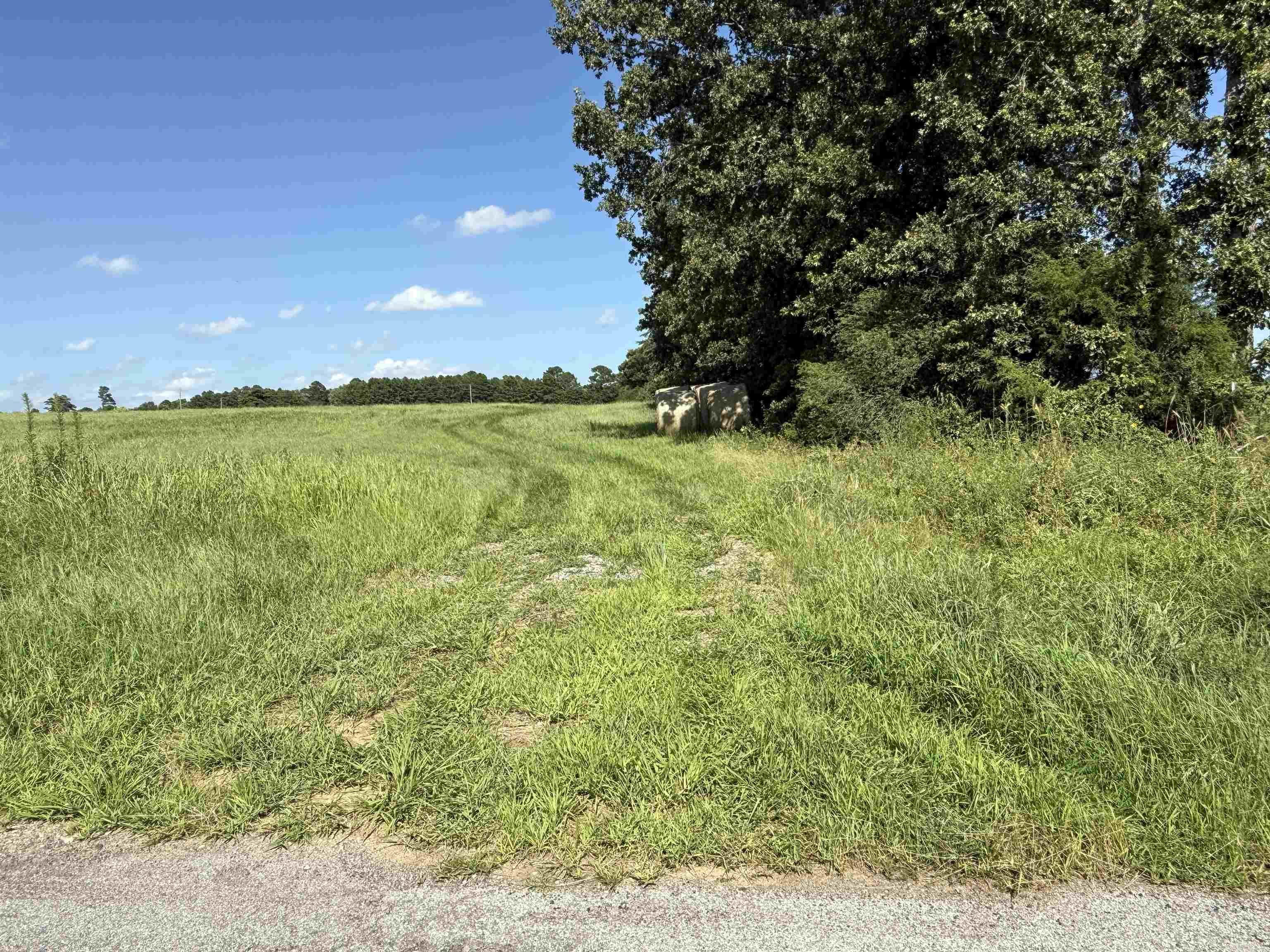 000 Midge Langley / Hwy. 36 Property Photo 37
