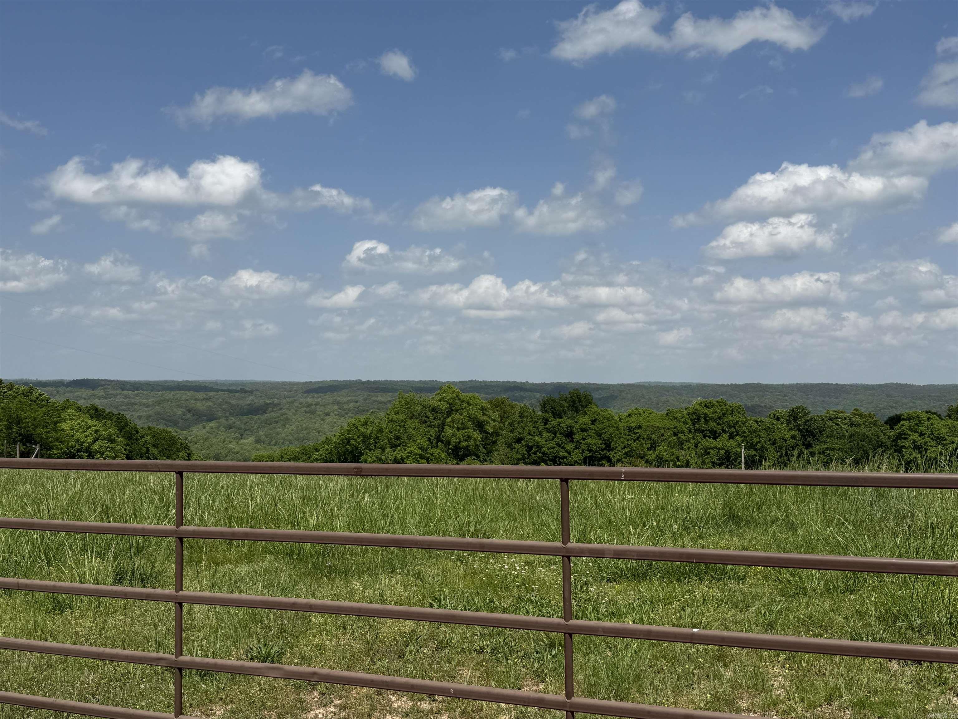 1366 Holmes Road Property Photo 4