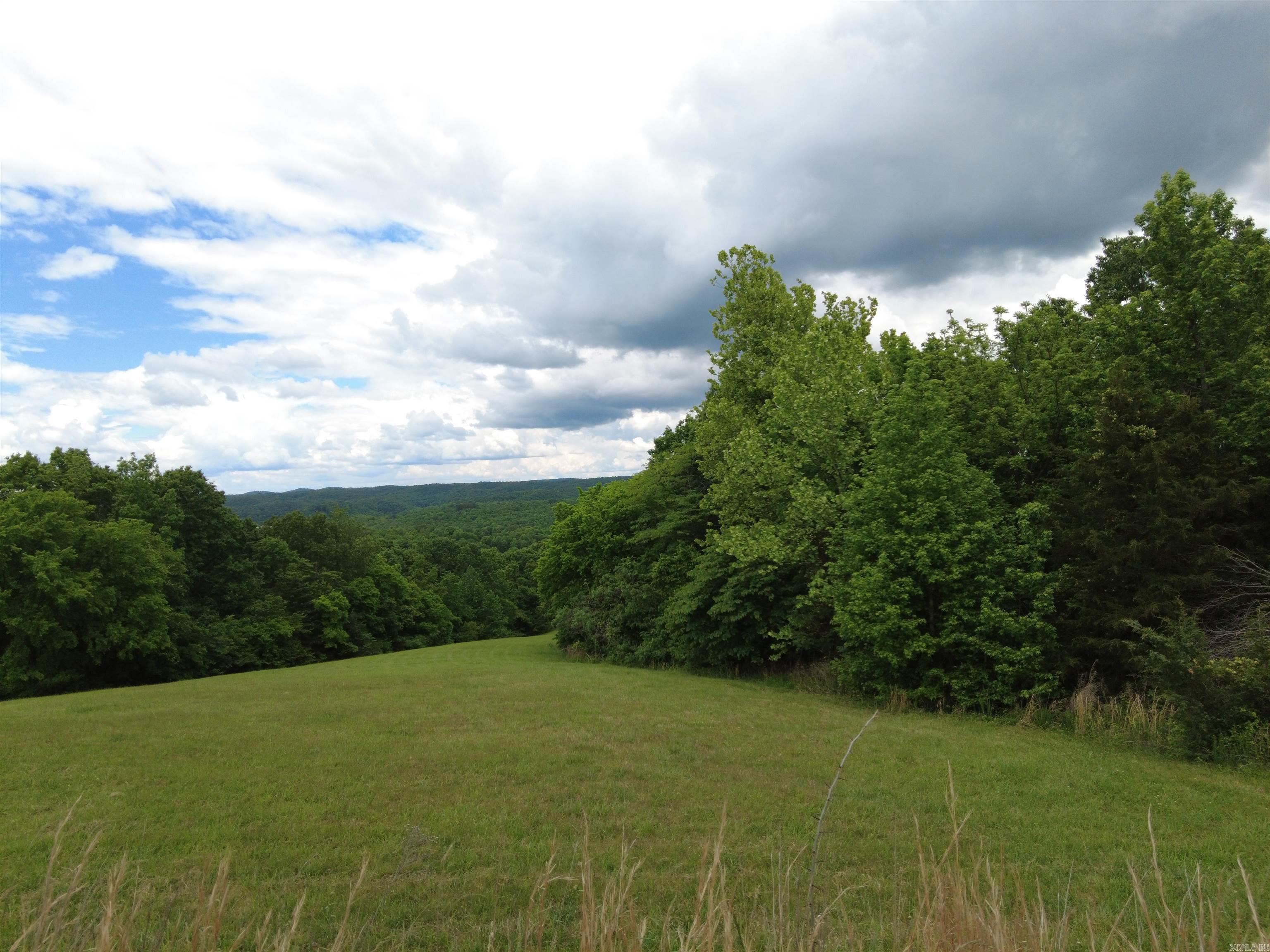 1366 Holmes Road Property Photo 10
