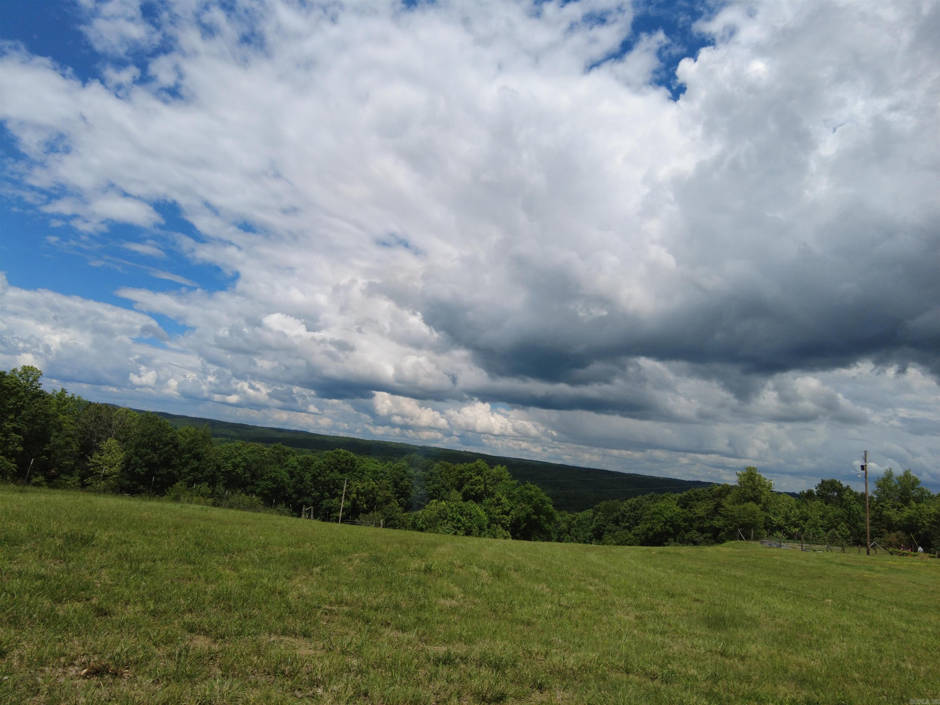 1366 Holmes Road Property Photo 19