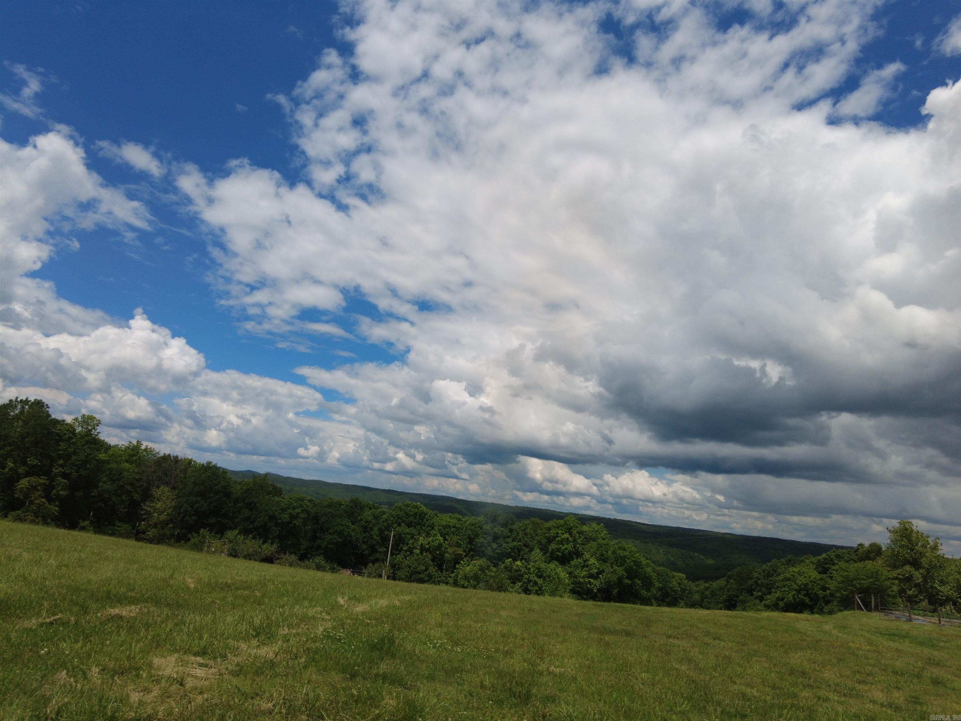 1366 Holmes Road Property Photo 22