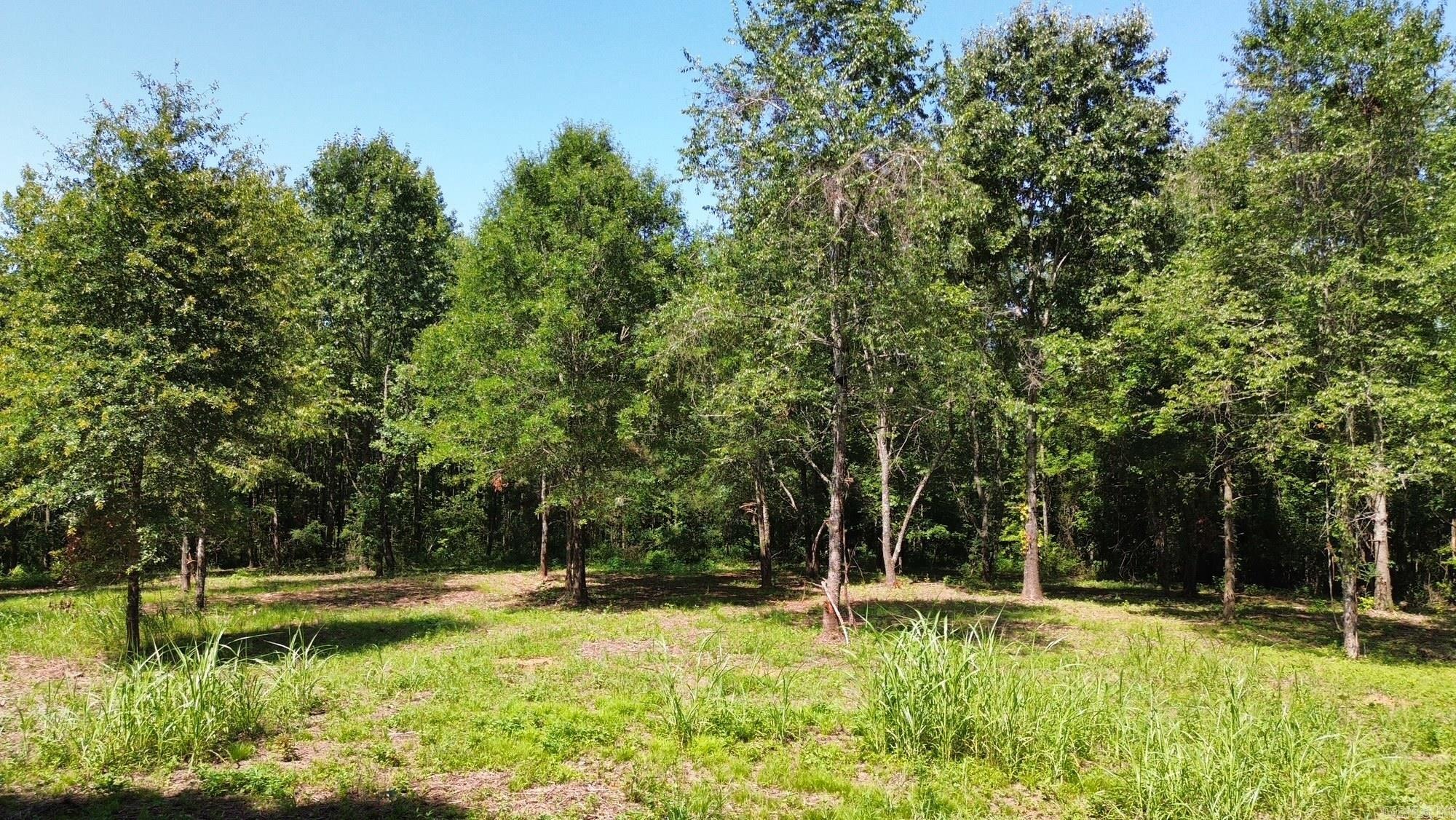 Tbd Henshaw Road Property Photo 2