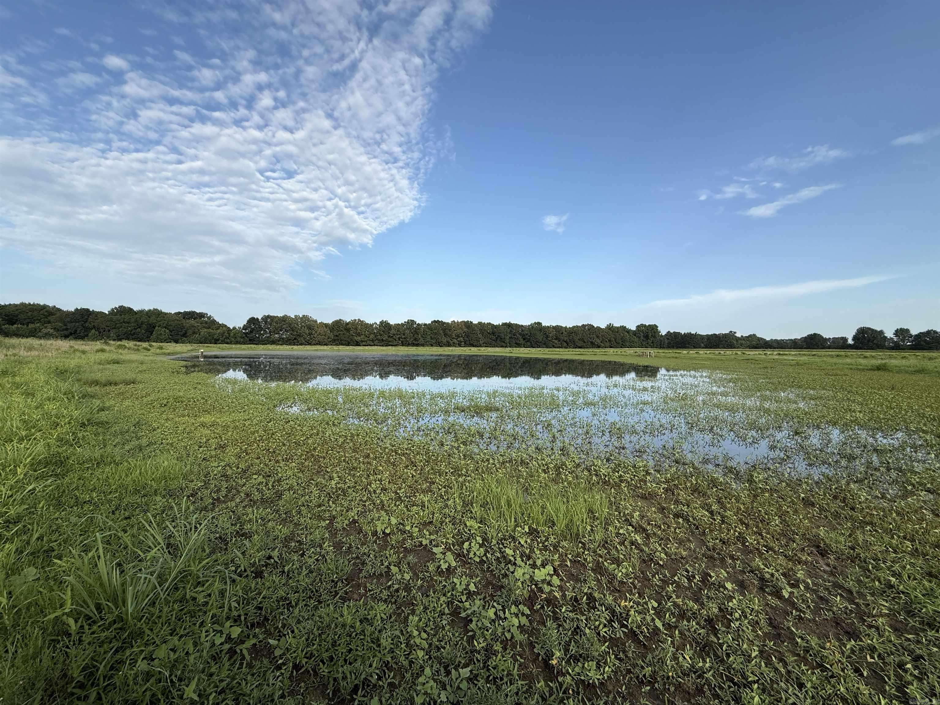 000 Ar-86 Property Photo 43