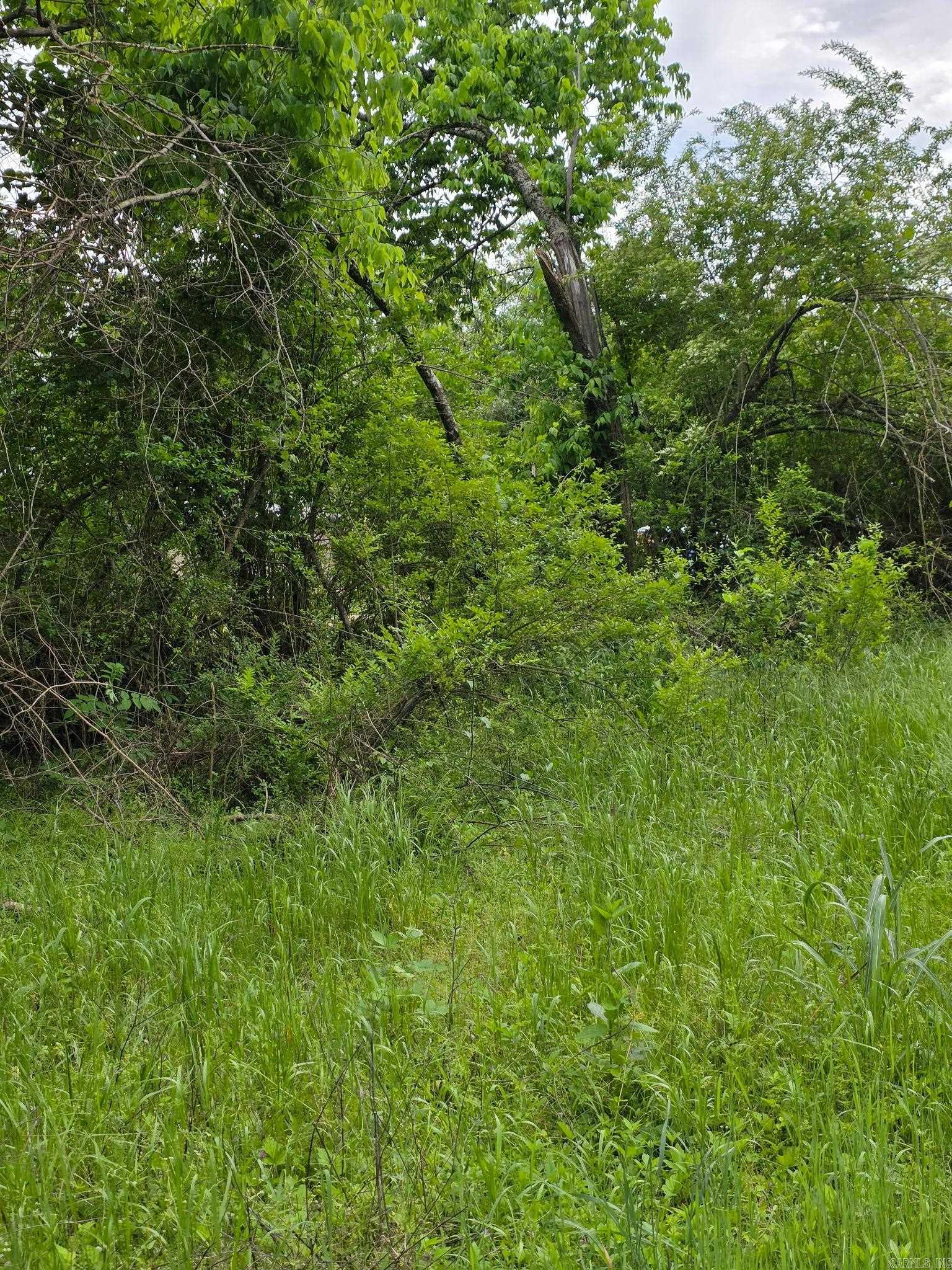118 C.r. 5239 Property Photo 6