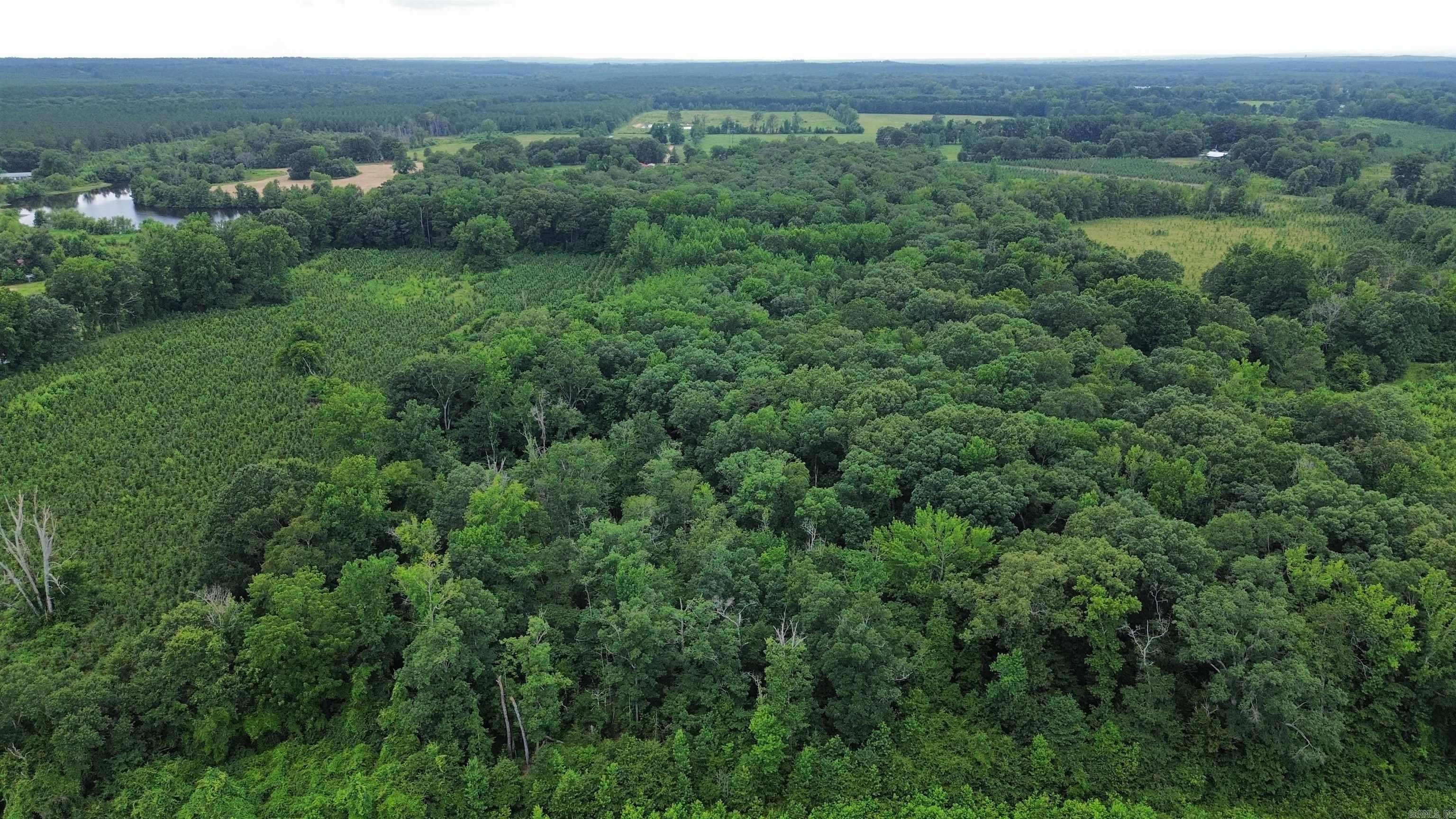 000 Sevier Cr 279 / Greyland Rd. Property Photo 10