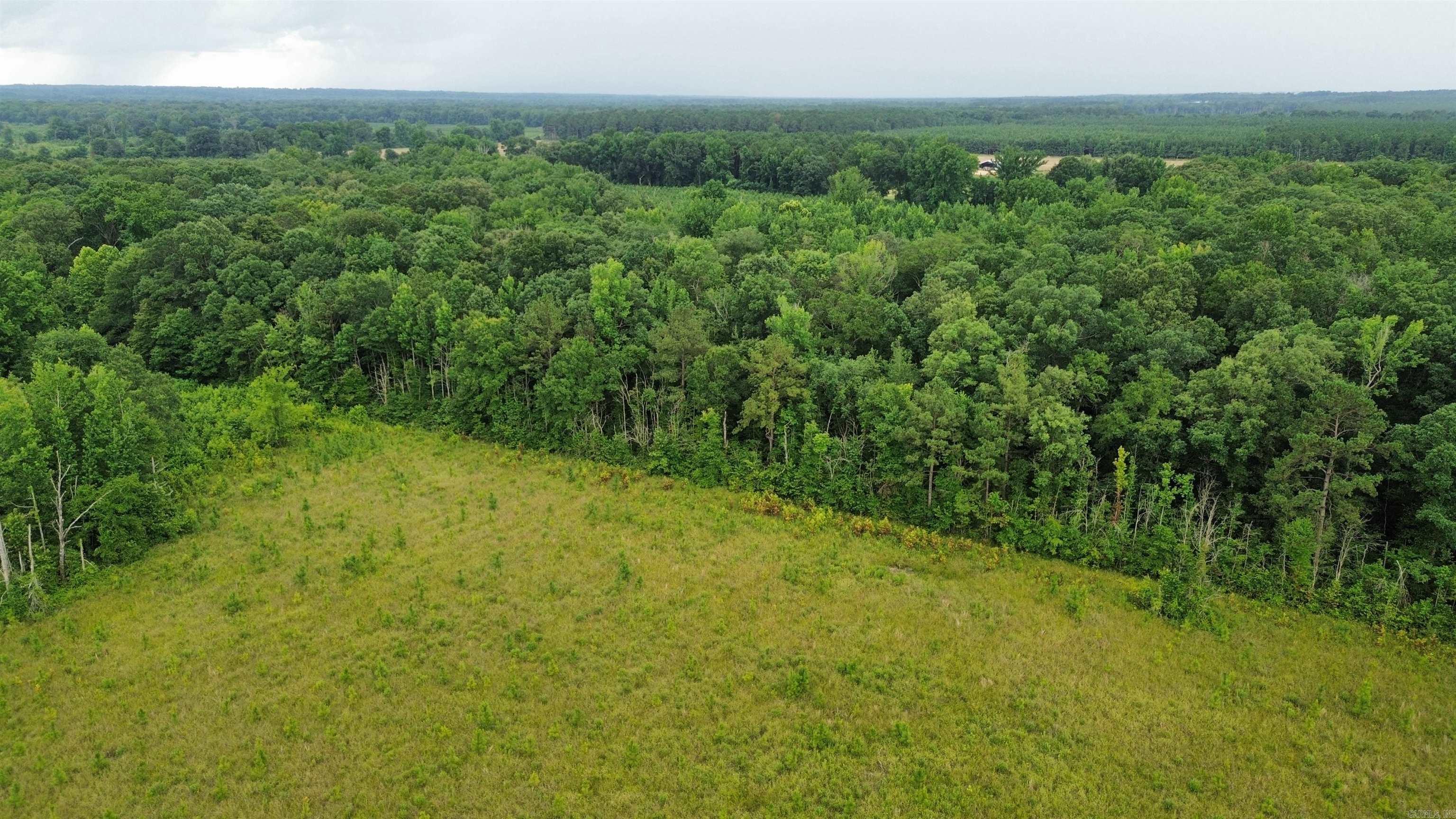000 Sevier Cr 279 / Greyland Rd. Property Photo 19