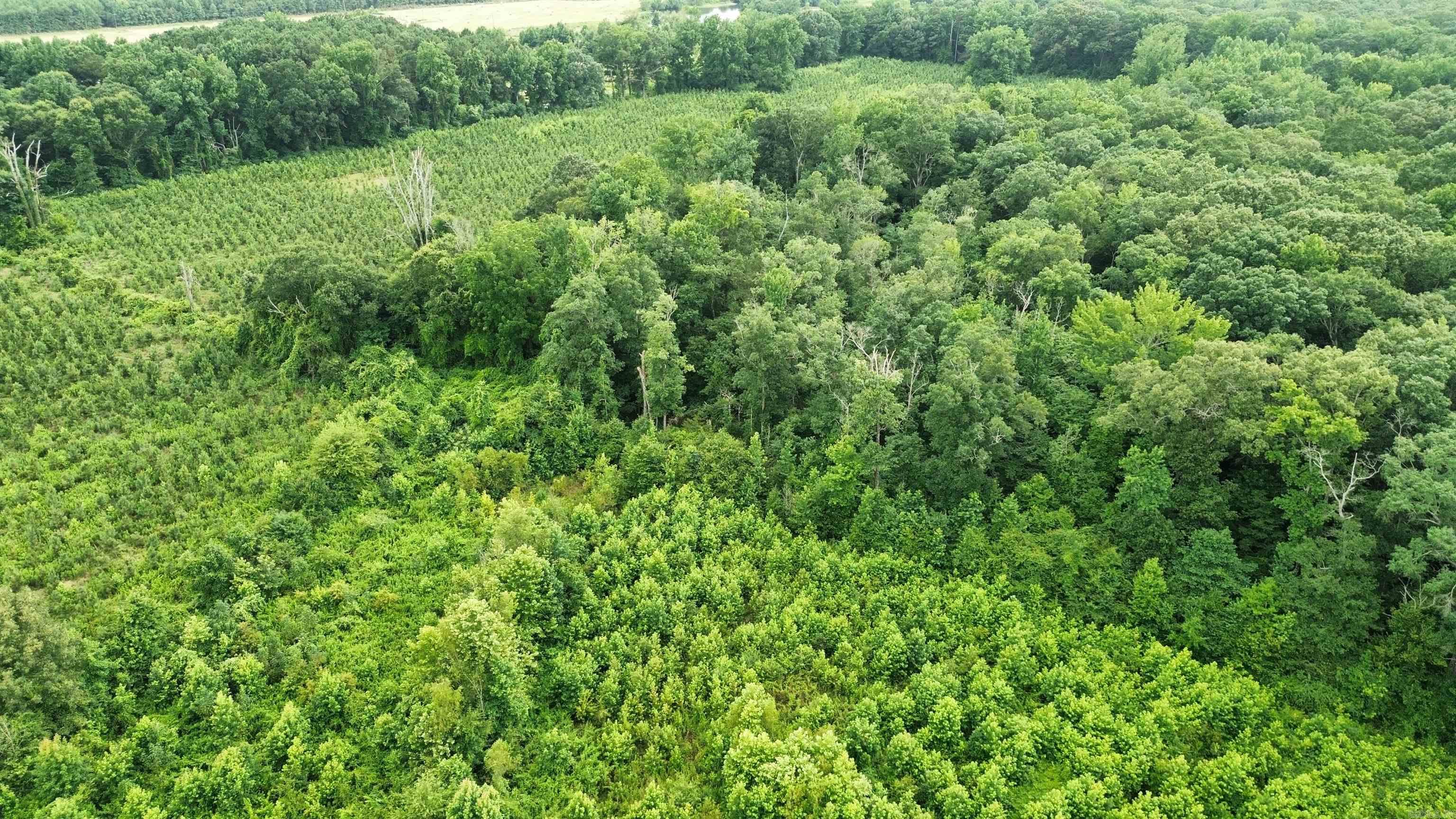 000 Sevier Cr 279 / Greyland Rd. Property Photo 21