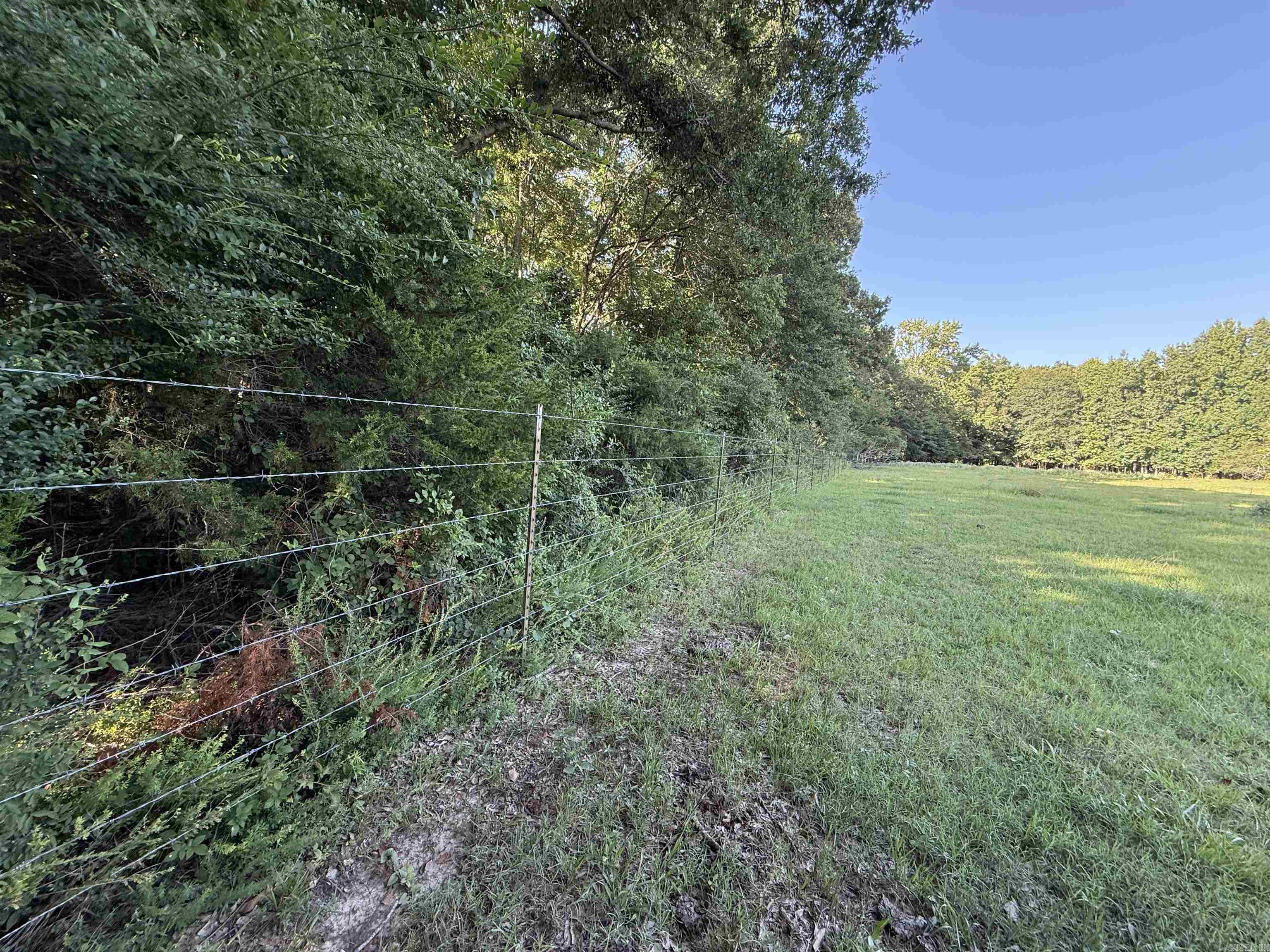 000 Arthur Kirk Rd. Property Photo 19
