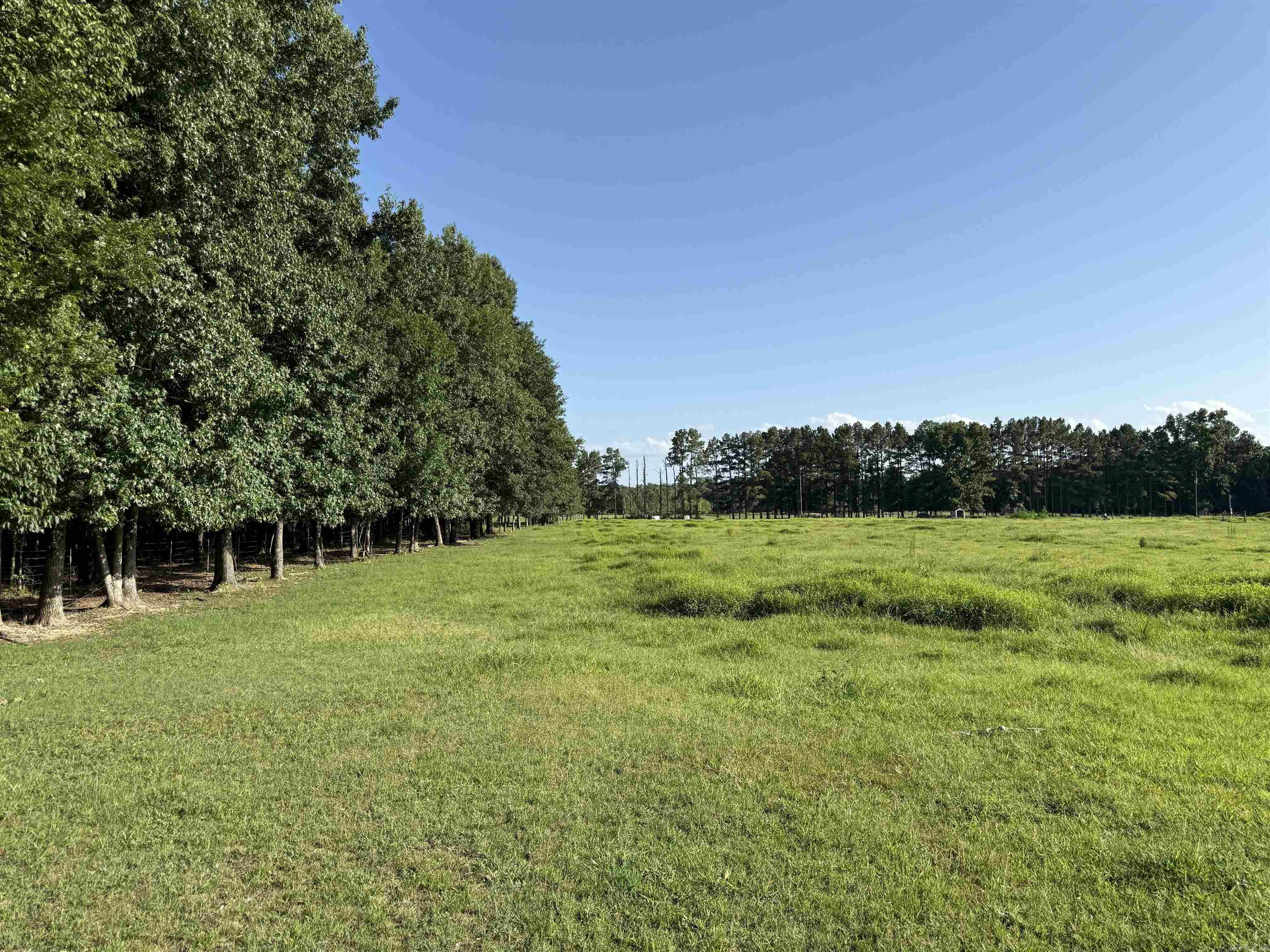 000 Arthur Kirk Rd. Property Photo 21