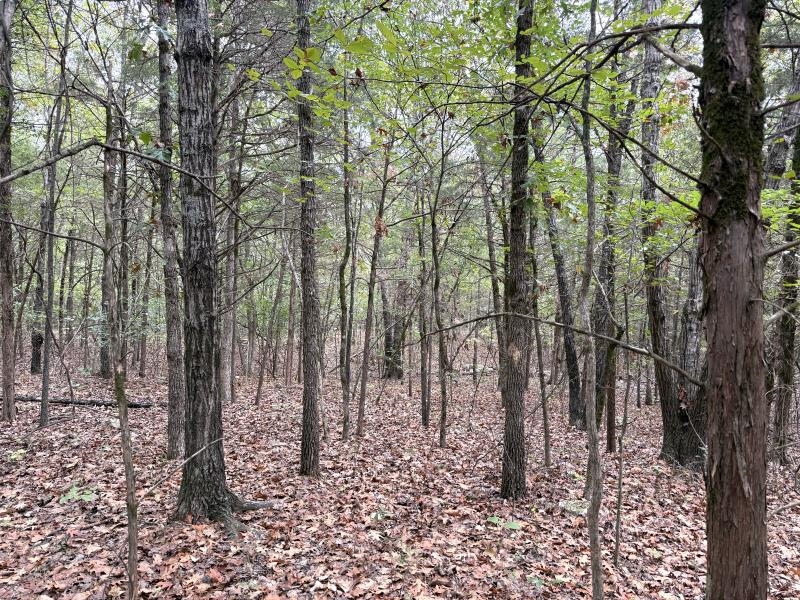 Off Of Lawrence 106 Property Photo 1