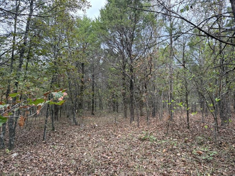 Off Of Lawrence 106 Property Photo 2