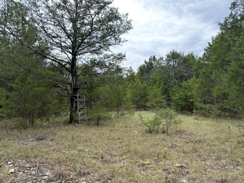 Off Of Lawrence 106 Property Photo 3
