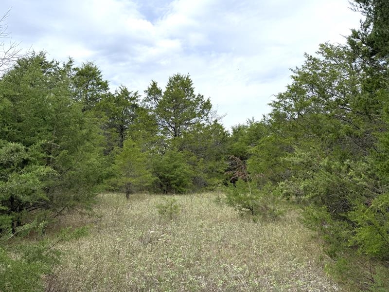Off Of Lawrence 106 Property Photo 5