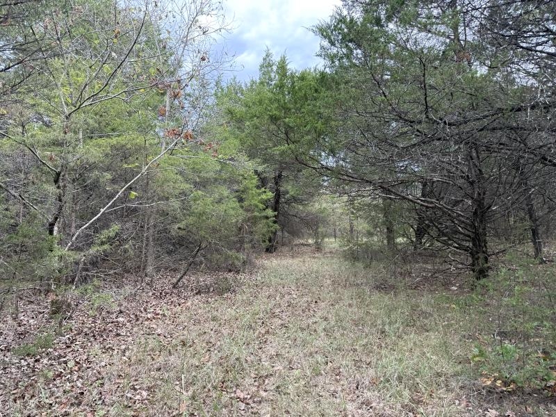 Off Of Lawrence 106 Property Photo 8