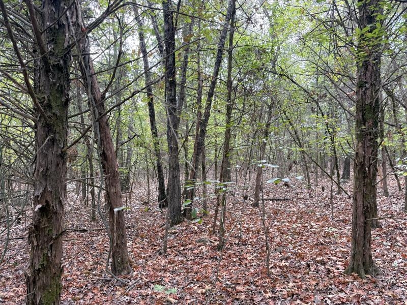 Off Of Lawrence 106 Property Photo 12
