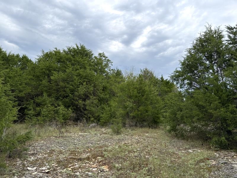 Off Of Lawrence 106 Property Photo 13