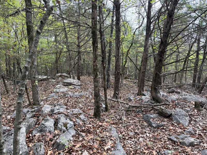 Off Of Lawrence 106 Property Photo 14