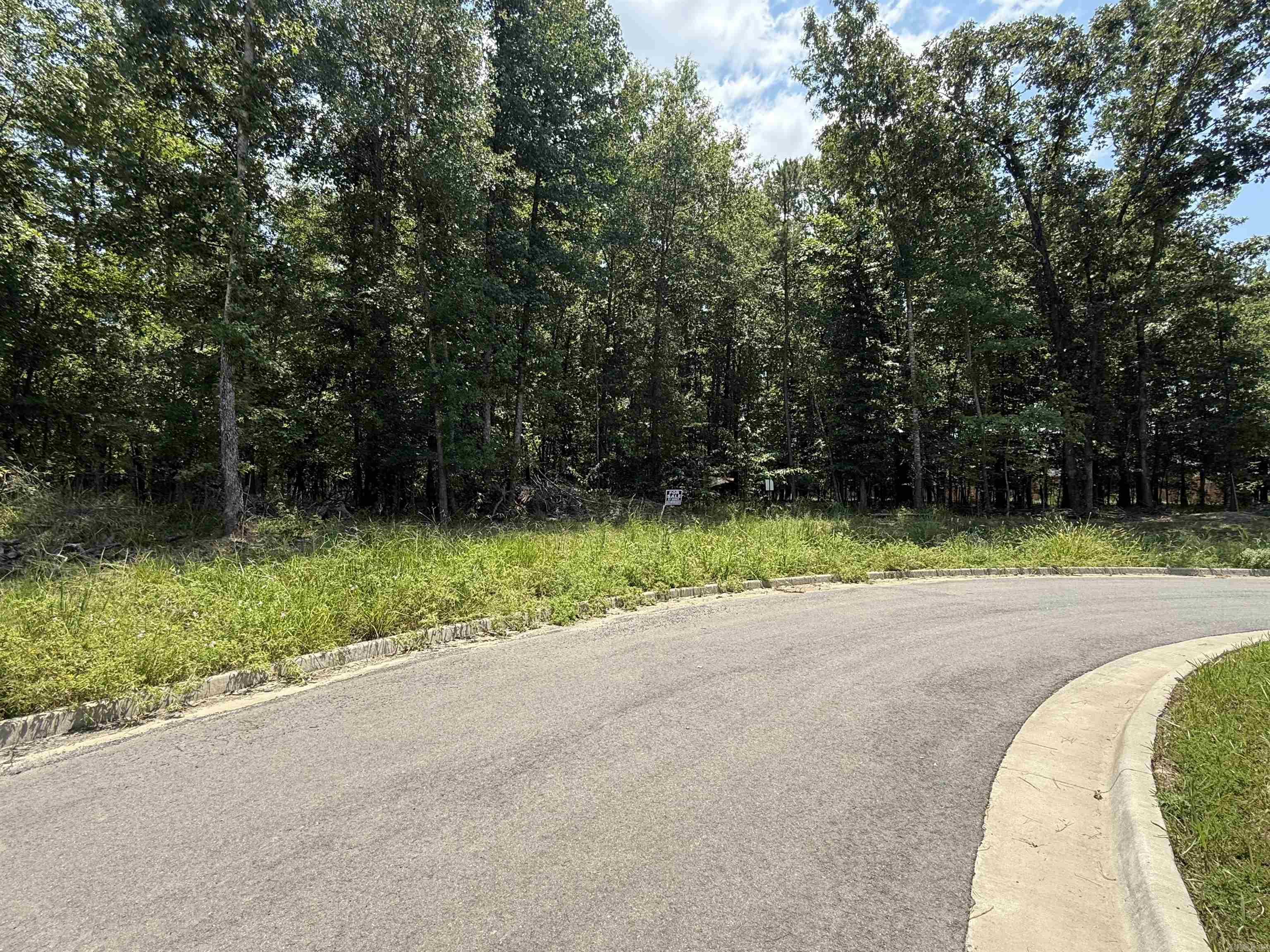 101 Talmidge Court Property Photo 3