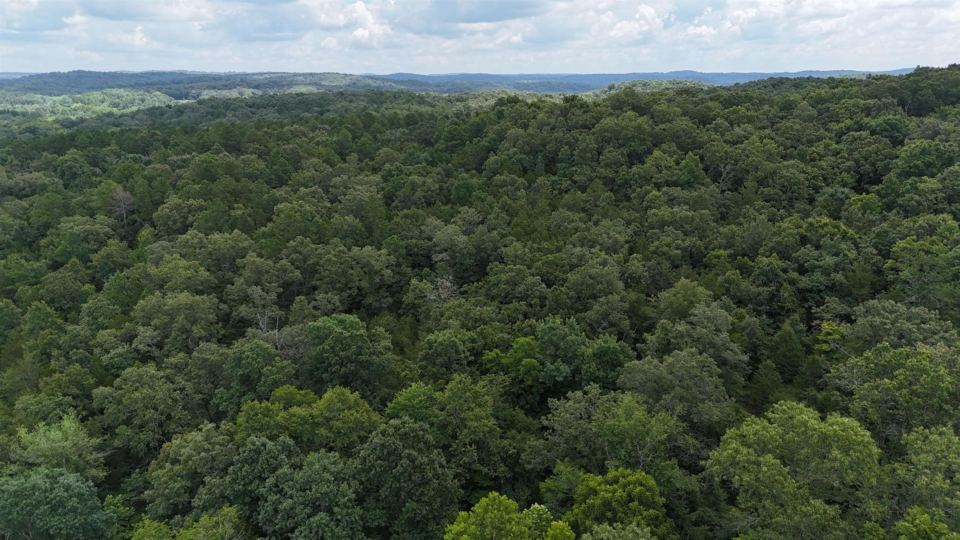 2572 Cooper Hollow Property Photo 4
