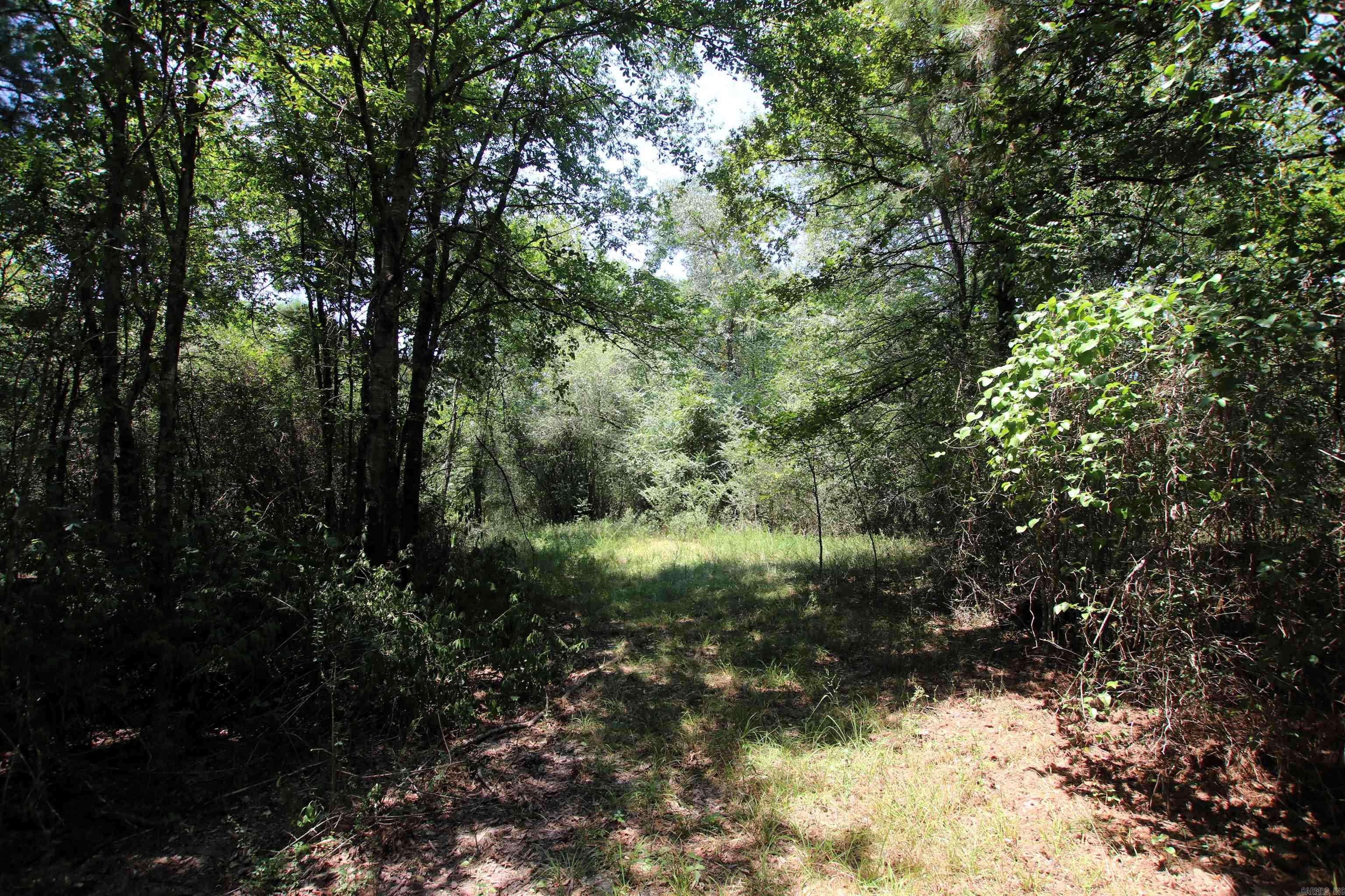 000 Us Smith Road Property Photo 6