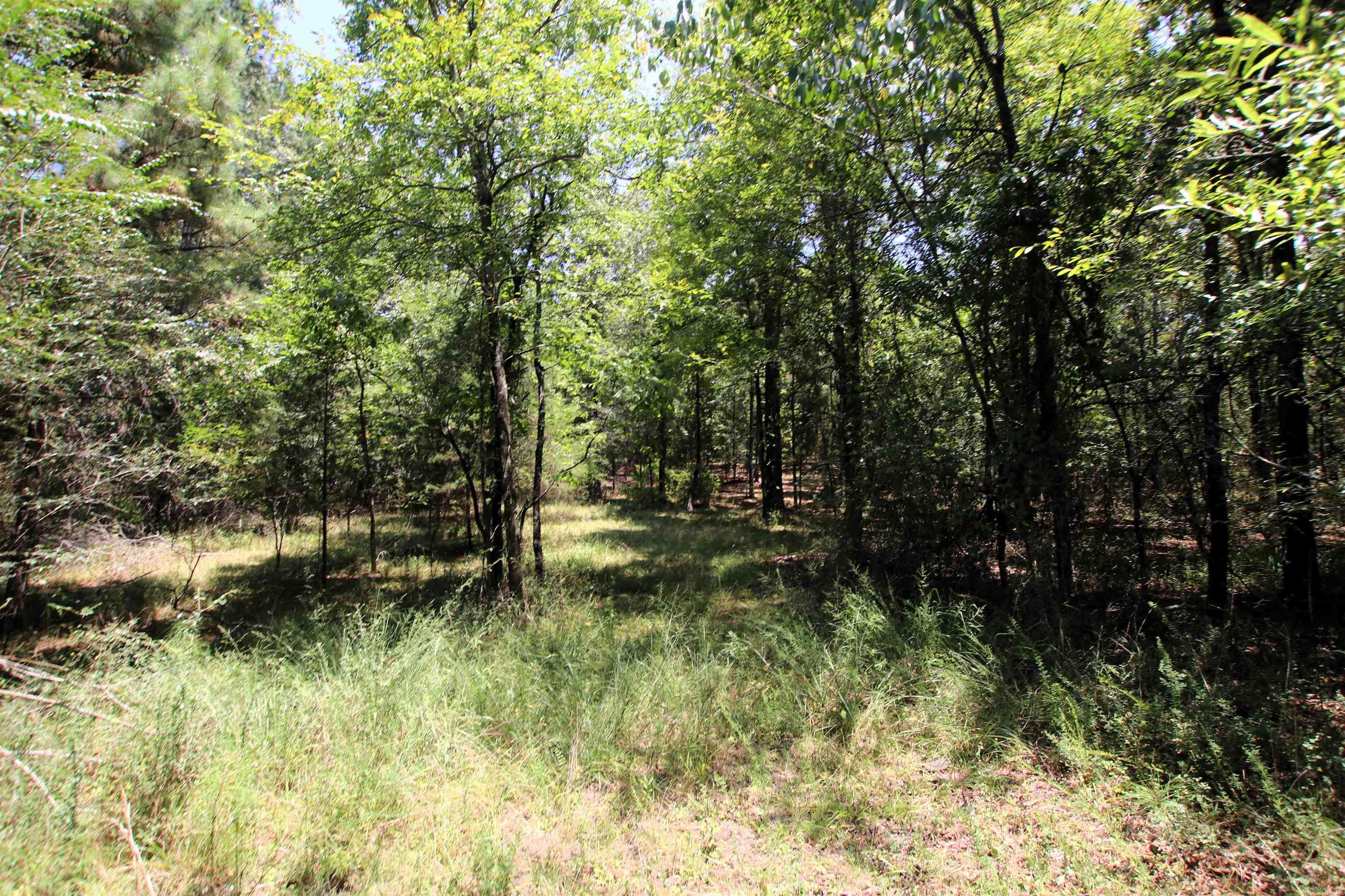 000 Us Smith Road Property Photo 7