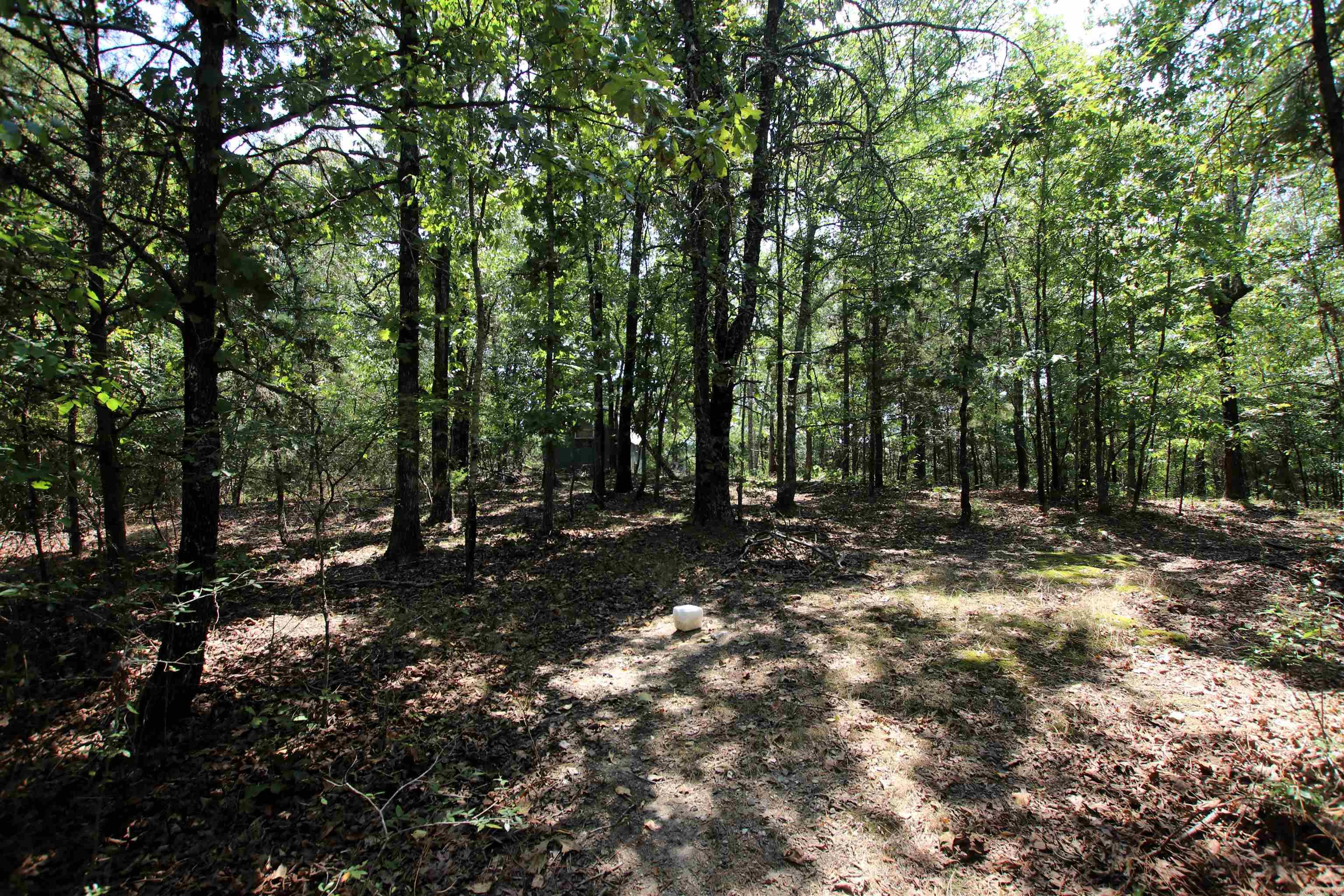 000 Us Smith Road Property Photo 8