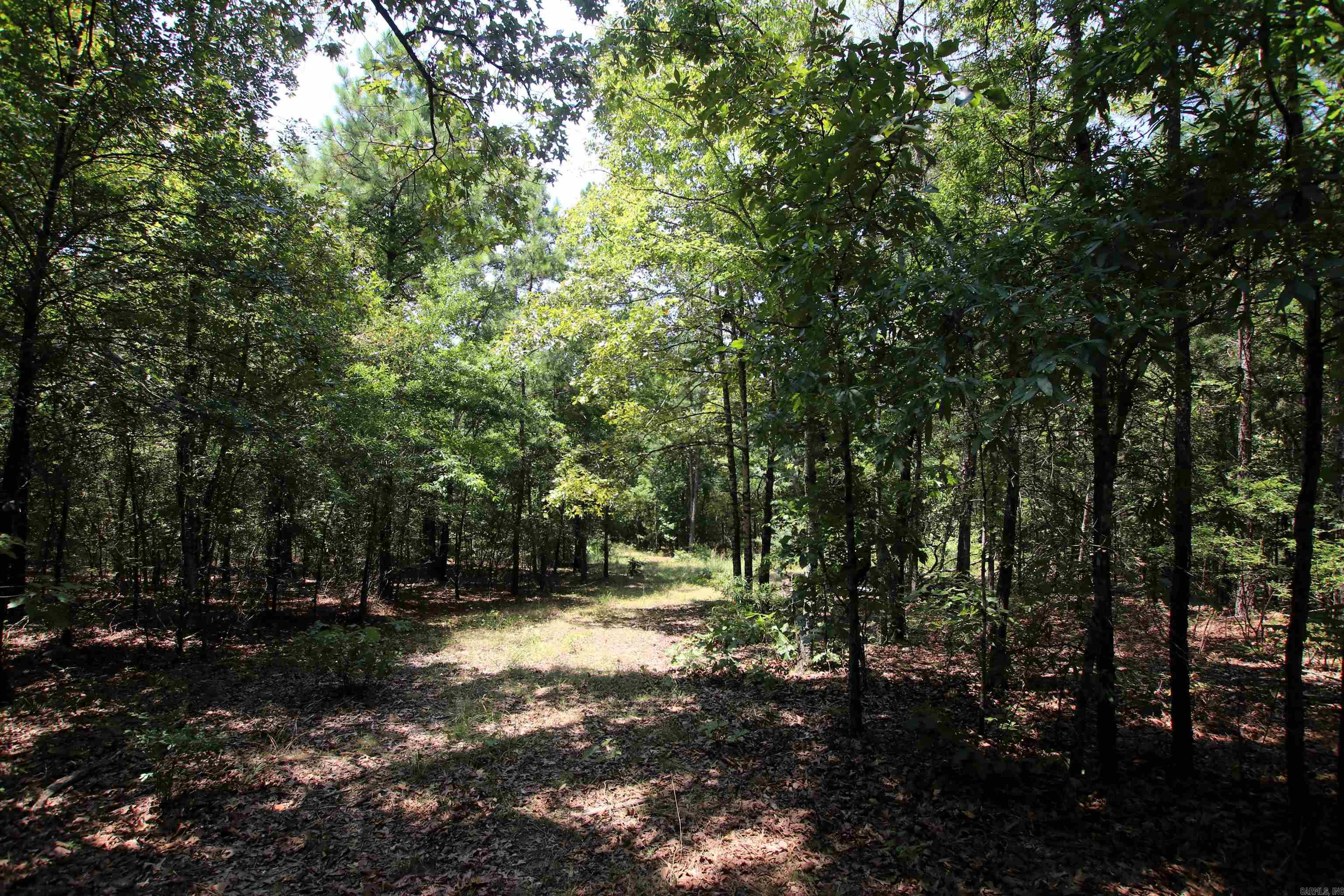 000 Us Smith Road Property Photo 9