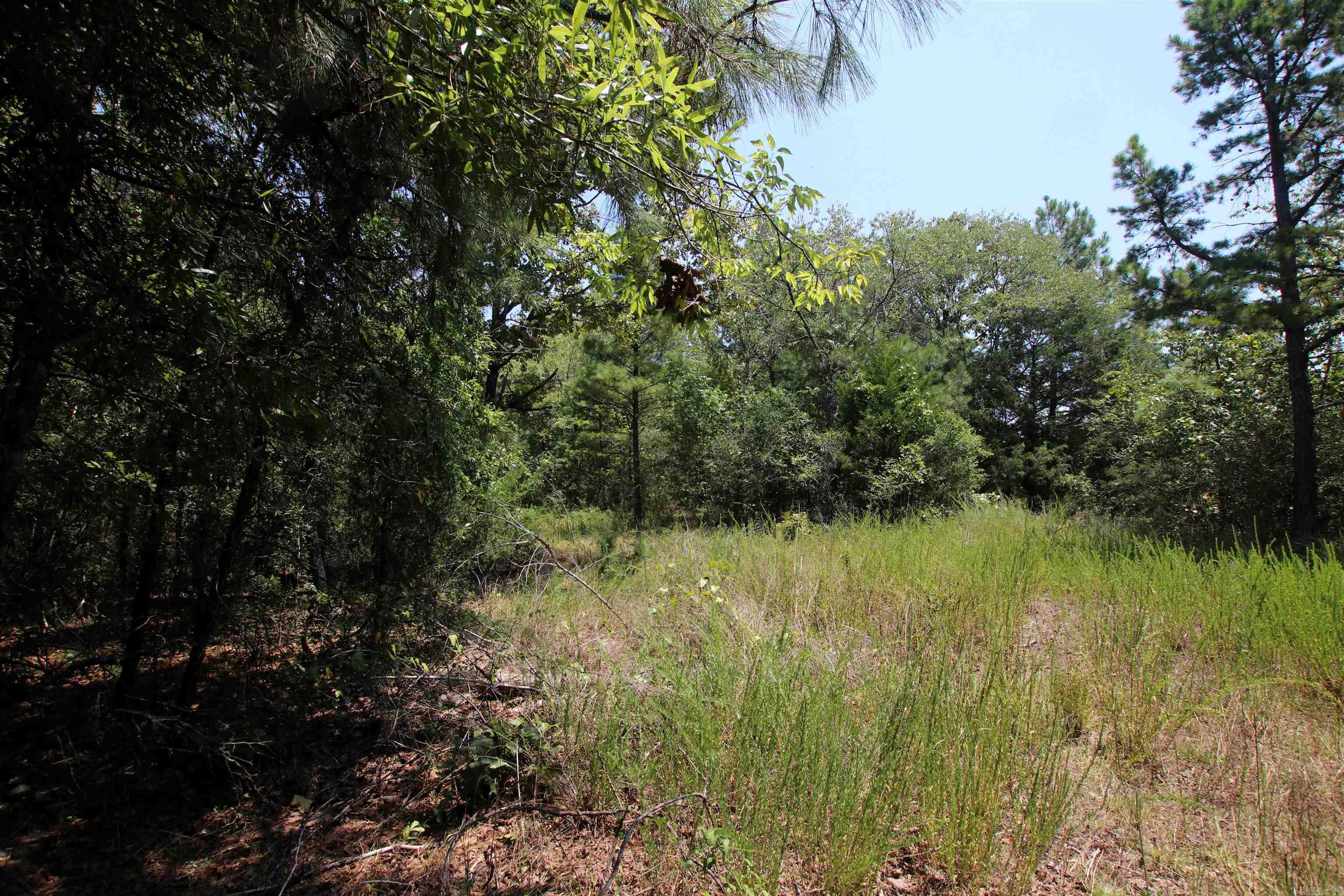 000 Us Smith Road Property Photo 11