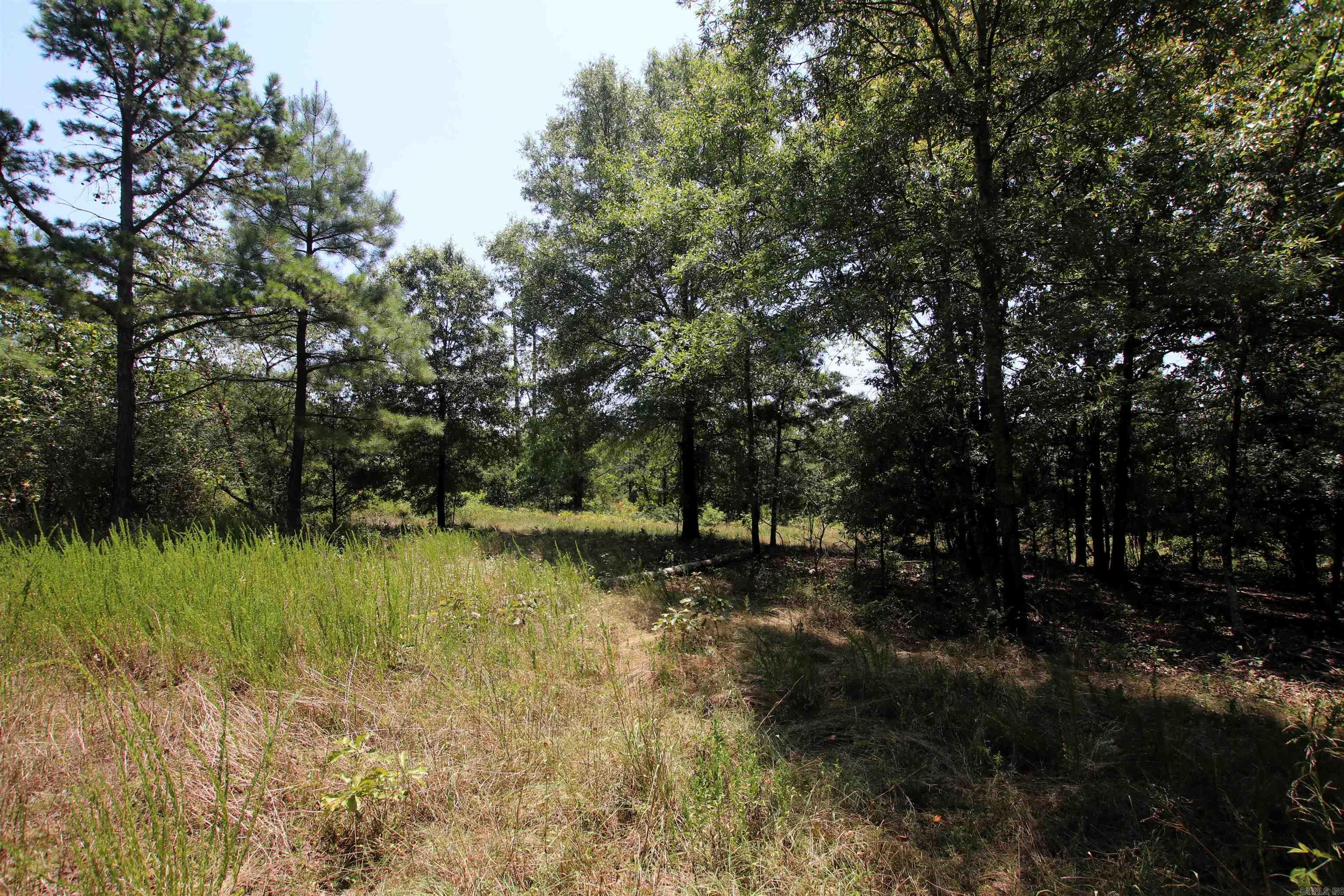 000 Us Smith Road Property Photo 12